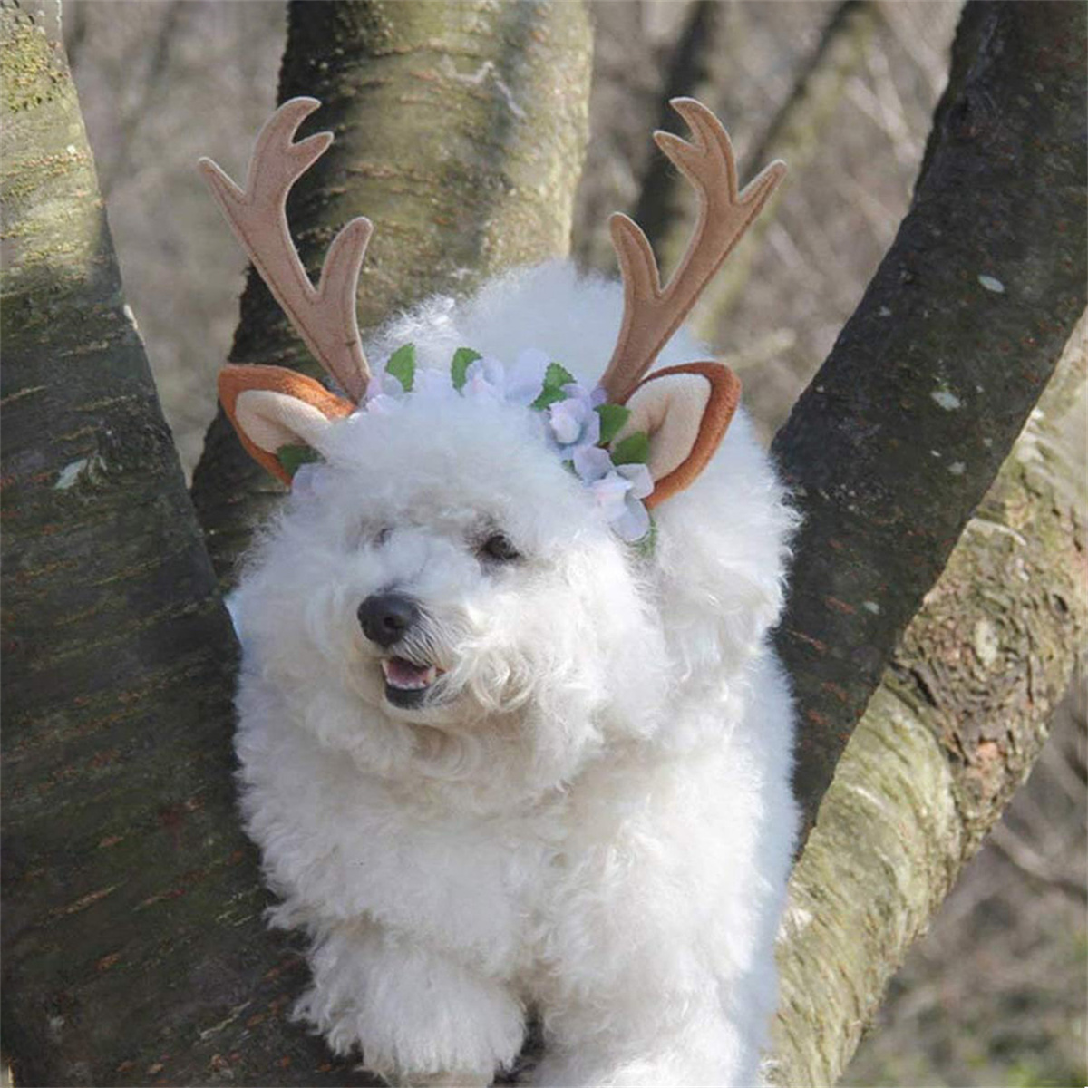 Ein weißer Hund mit Rentiergeweih und Blumenkranz sitzt in einem Baum.