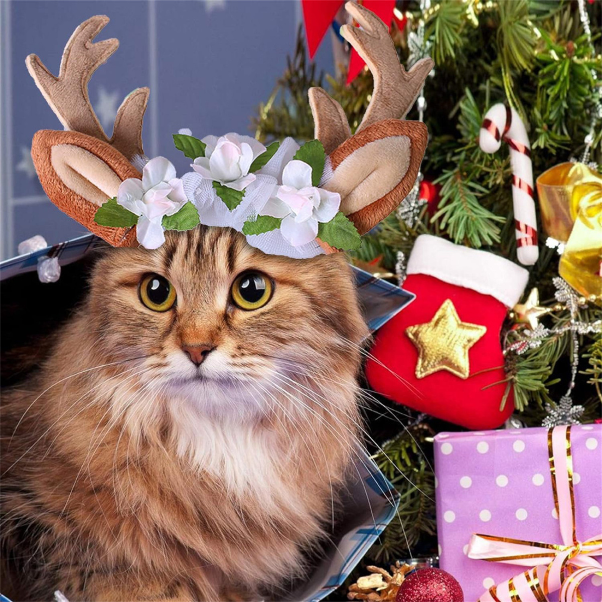 Eine Katze mit Rentiergeweih und Blumenkranz vor einem Weihnachtsbaum.