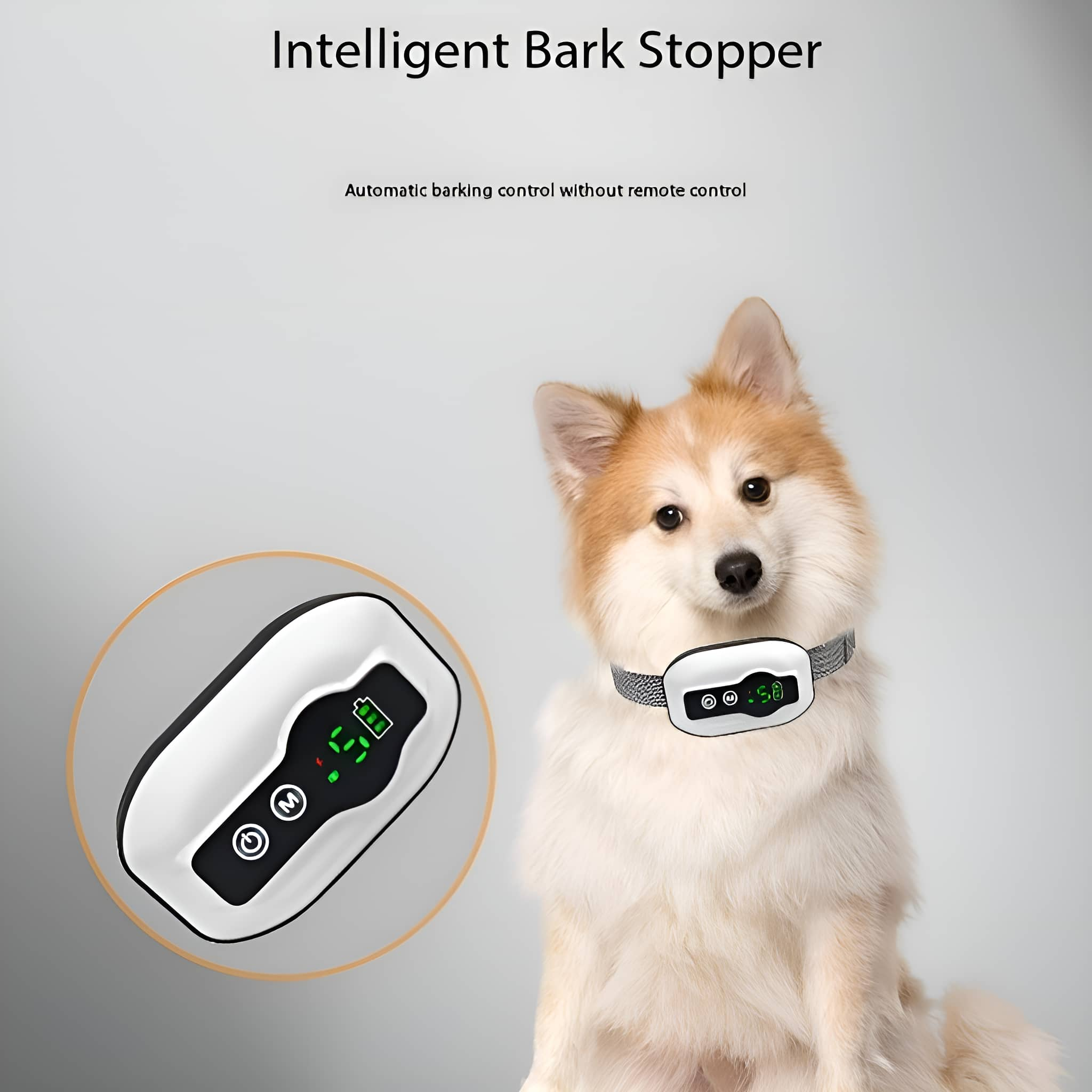 Hund mit Bellhalsband und Gerät, Text: 'Intelligenter Bark Stopper'.