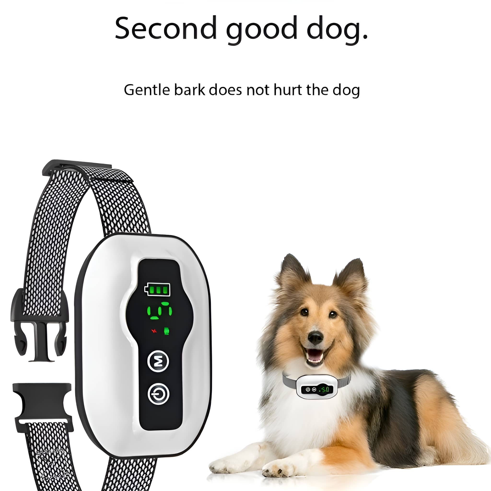 Ein Hund mit Schockhalsband, Text 'Second good dog'. Ein Halsband und ein anderer Hund links.