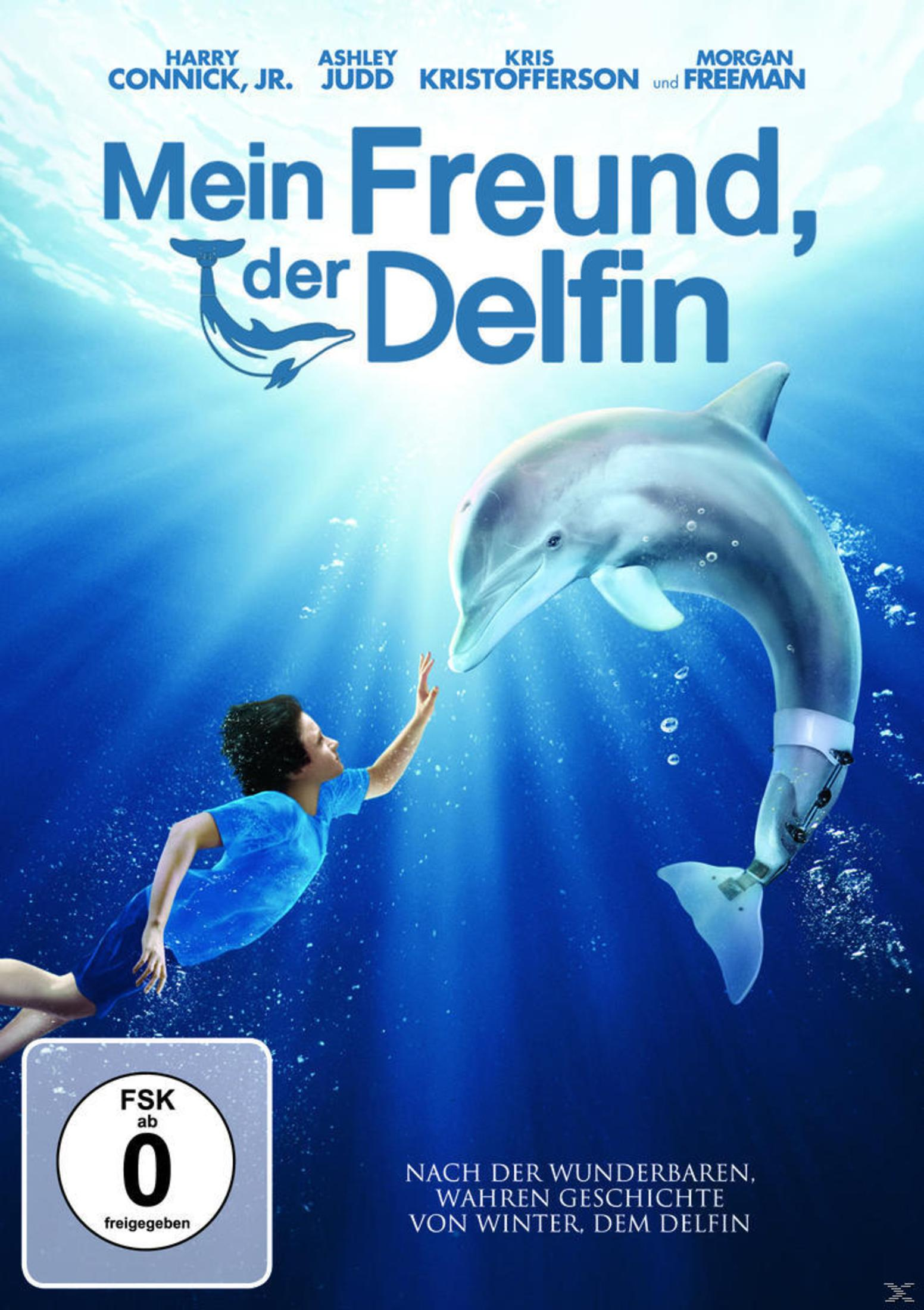 Filmposter: Ein Junge, der im Ozean nach einem Delfin greift, mit Text auf Deutsch.