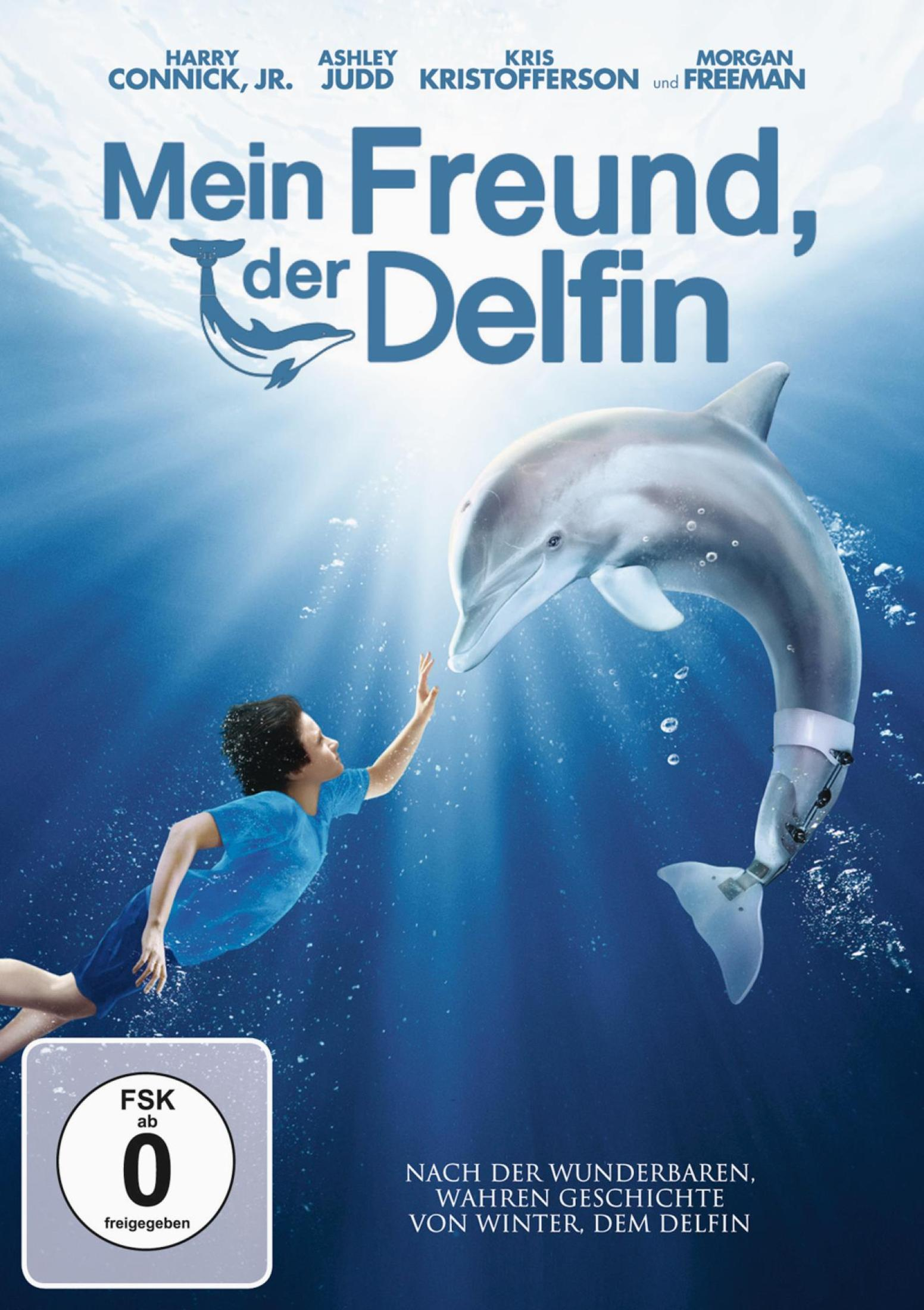 Filmplakat: Ein Junge greift nach einem Delfin mit einer Beinprothese in einer Meereskulisse.