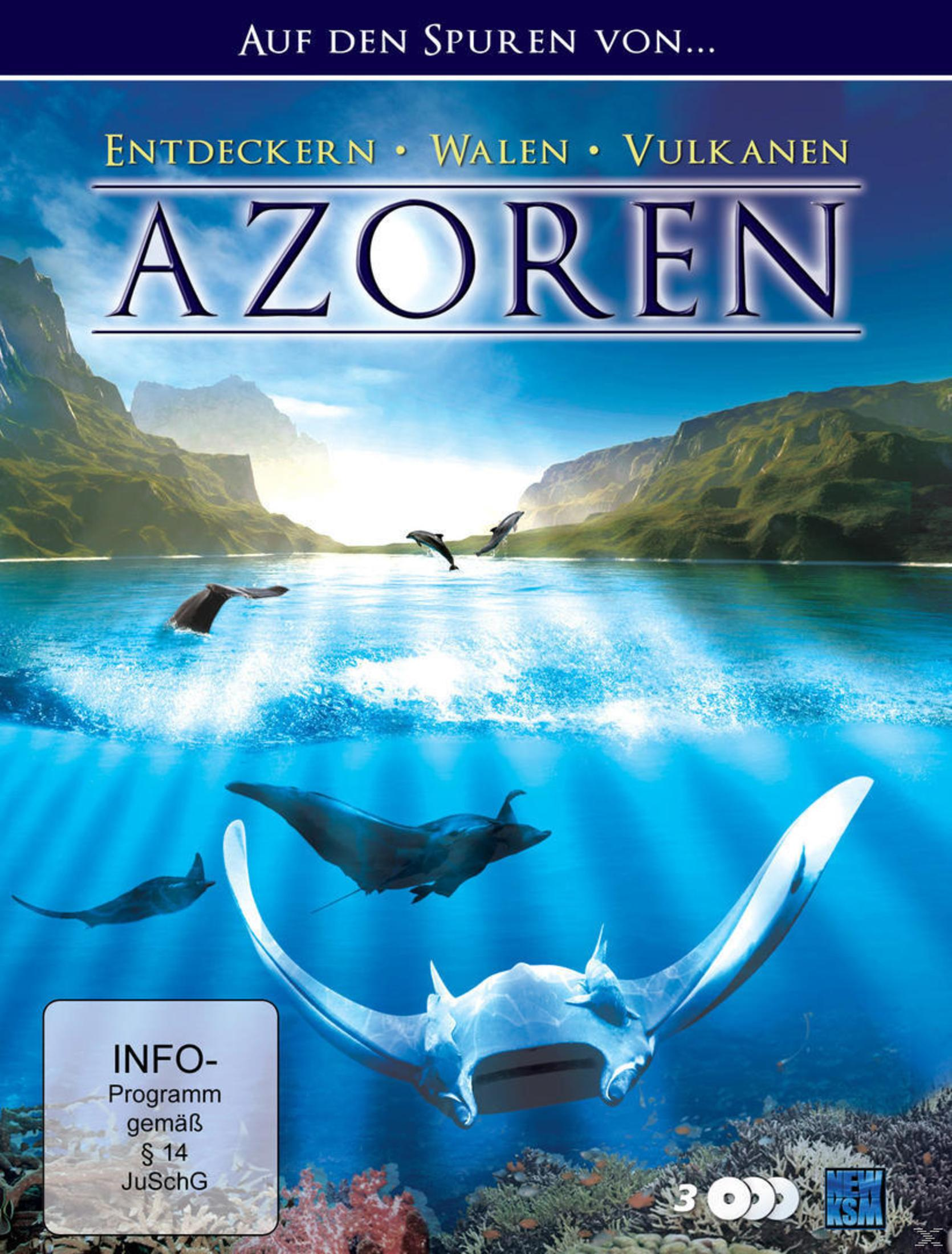 Blu-ray-Cover mit Unterwasserszene. Delfine, Mantas und ein Vulkan sind sichtbar.