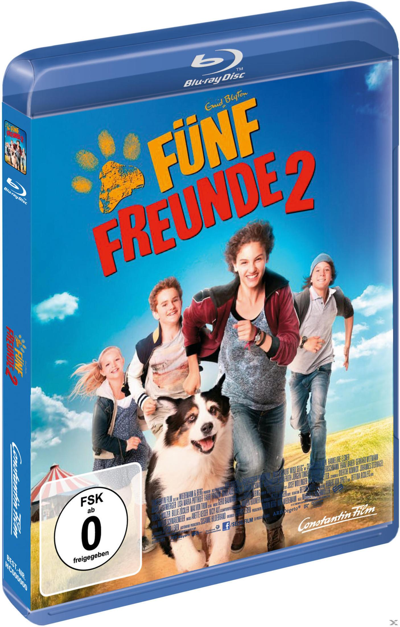 Blu-ray-Filmcover. Eine Gruppe junger Leute und ein Hund rennen an einem sonnigen Tag.