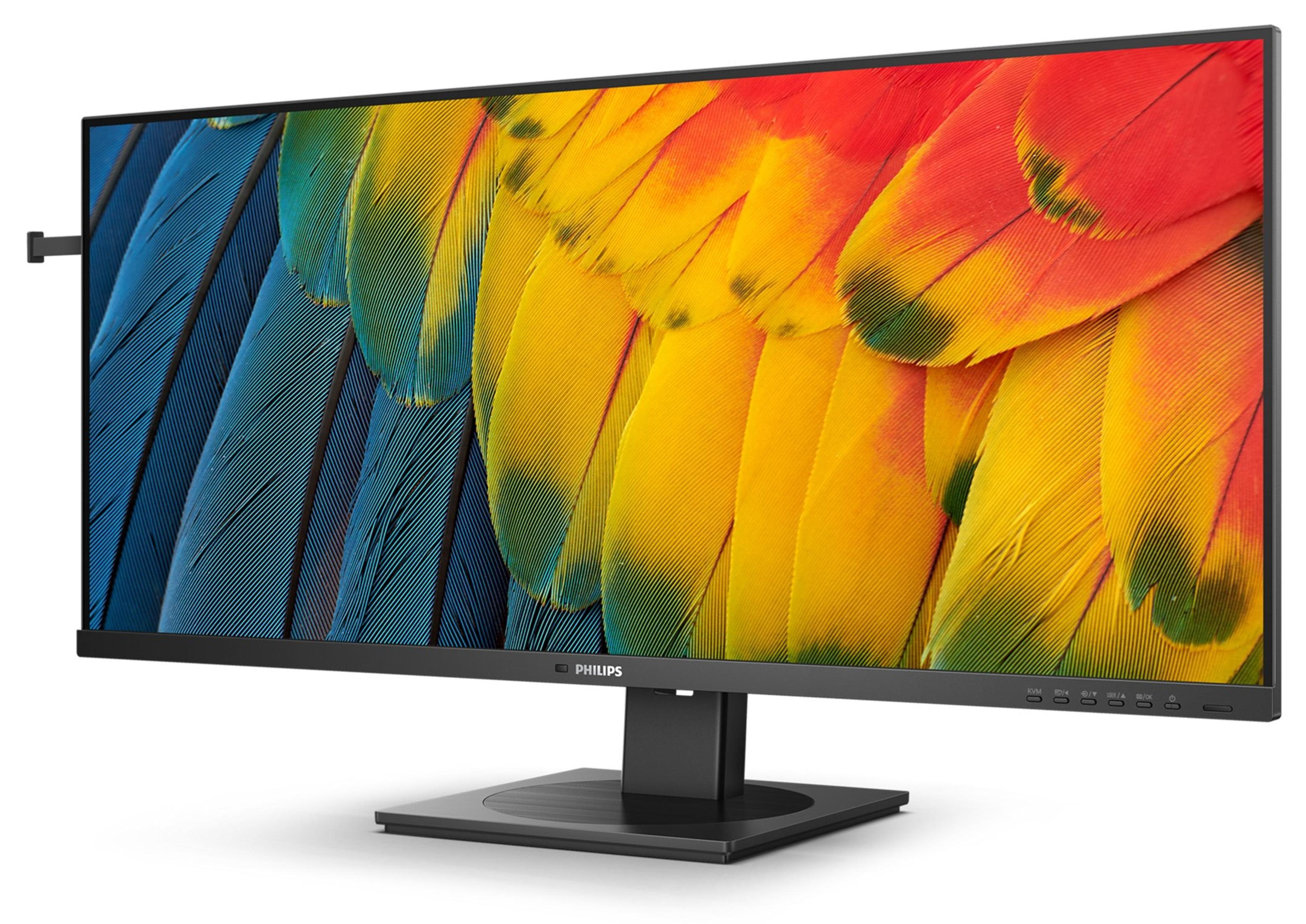 Szeroki monitor wyświetlający kolorową abstrakcyjną grafikę piór ary na czarnym stojaku.