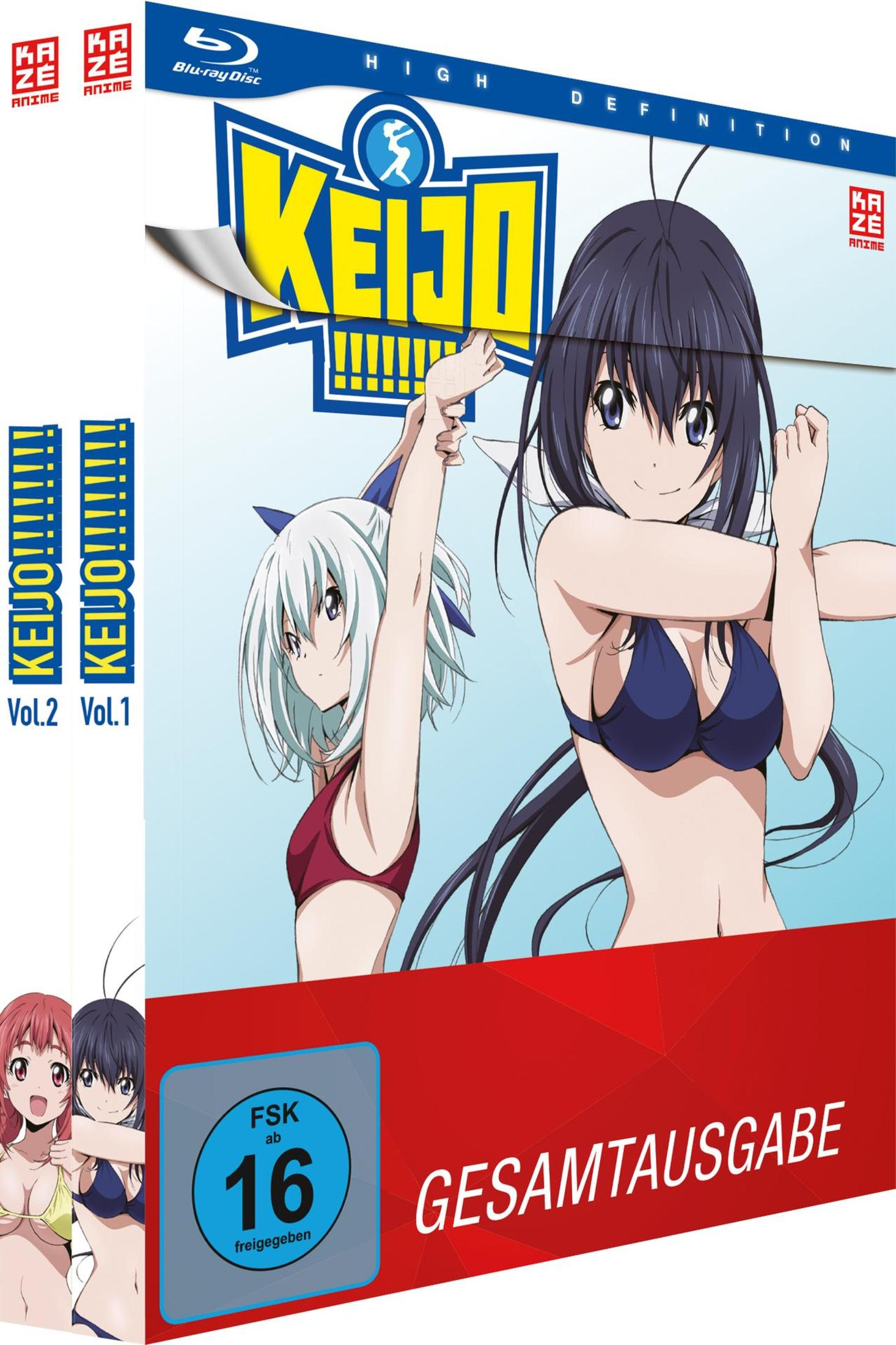 Anime-DVD-Box-Set mit zwei Anime-Mädchen auf dem Cover. Die Box ist rot und blau.
