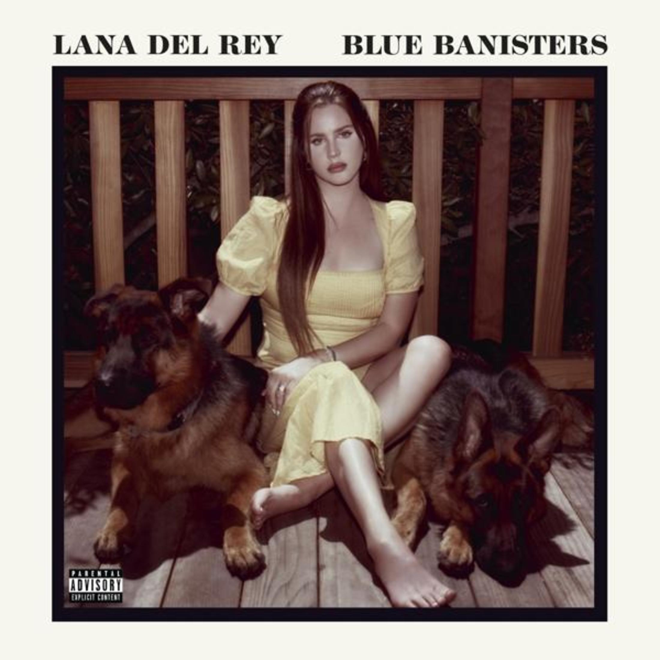 Donna con cani. Copertina dell'album.