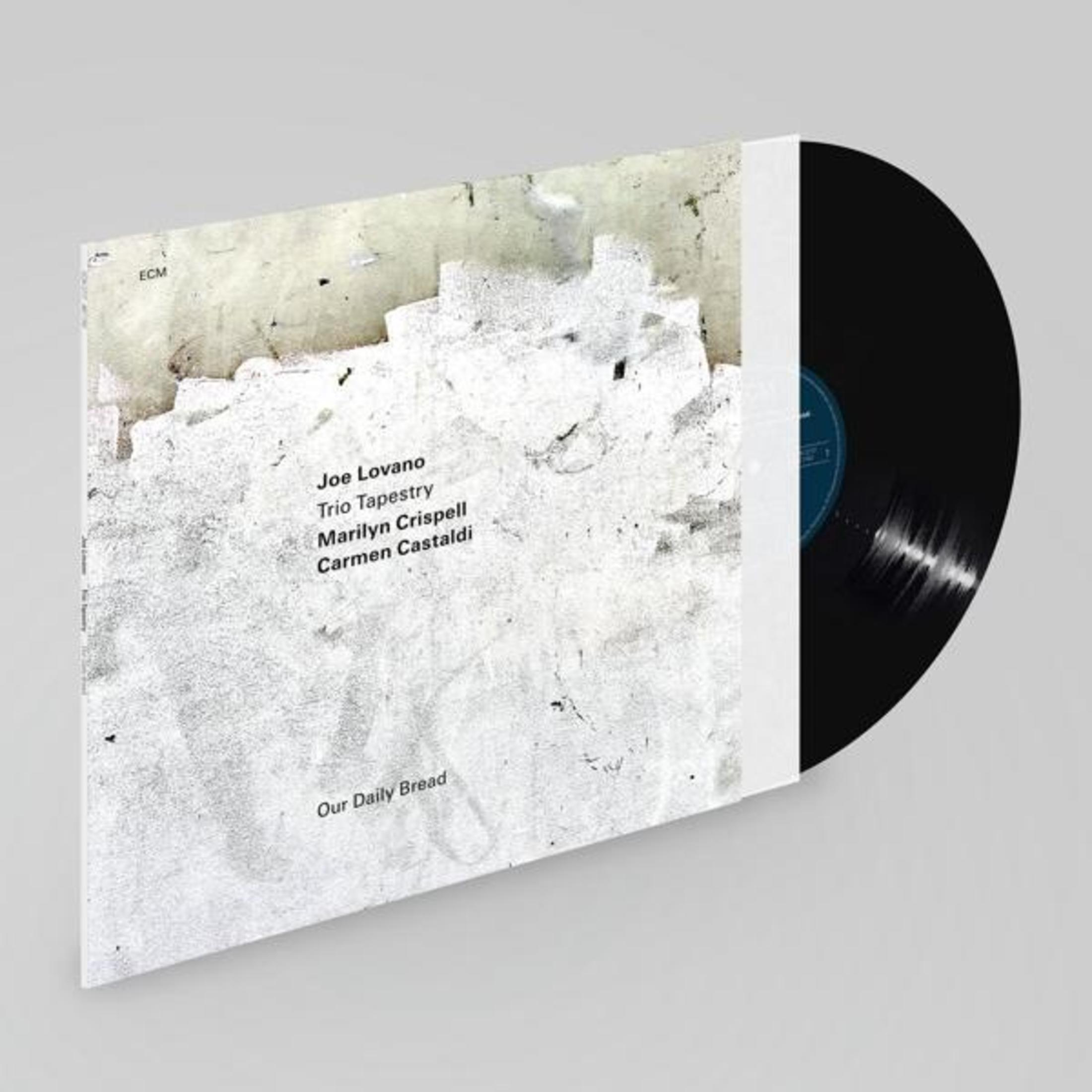 Albumhoes: LP. Witte hoes. De albumtitel en namen zijn zichtbaar. Een zwarte vinyl is zichtbaar.