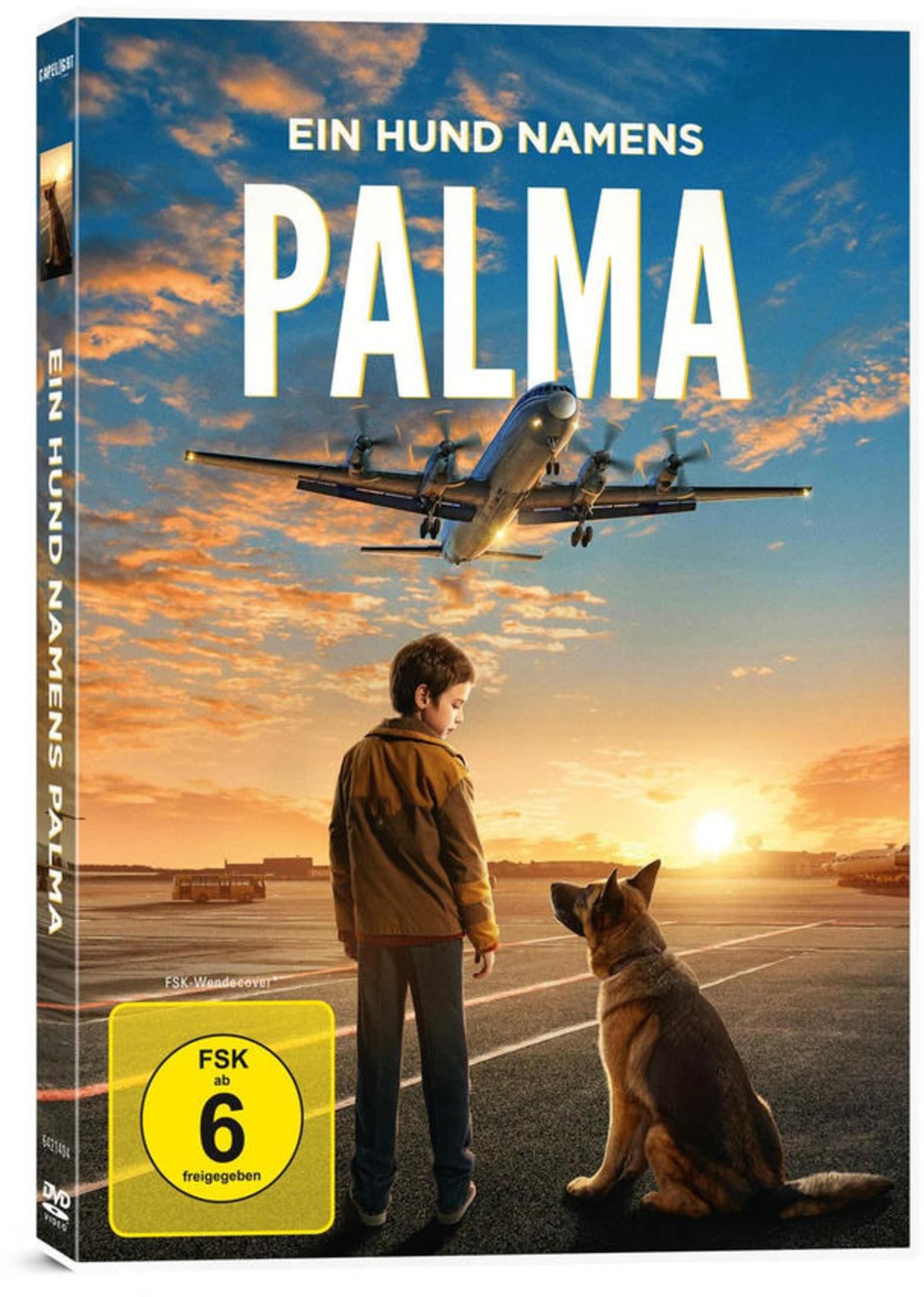 Ein Junge und ein Hund blicken auf einem Rollfeld in den Sonnenuntergang, während ein Flugzeug abhebt.