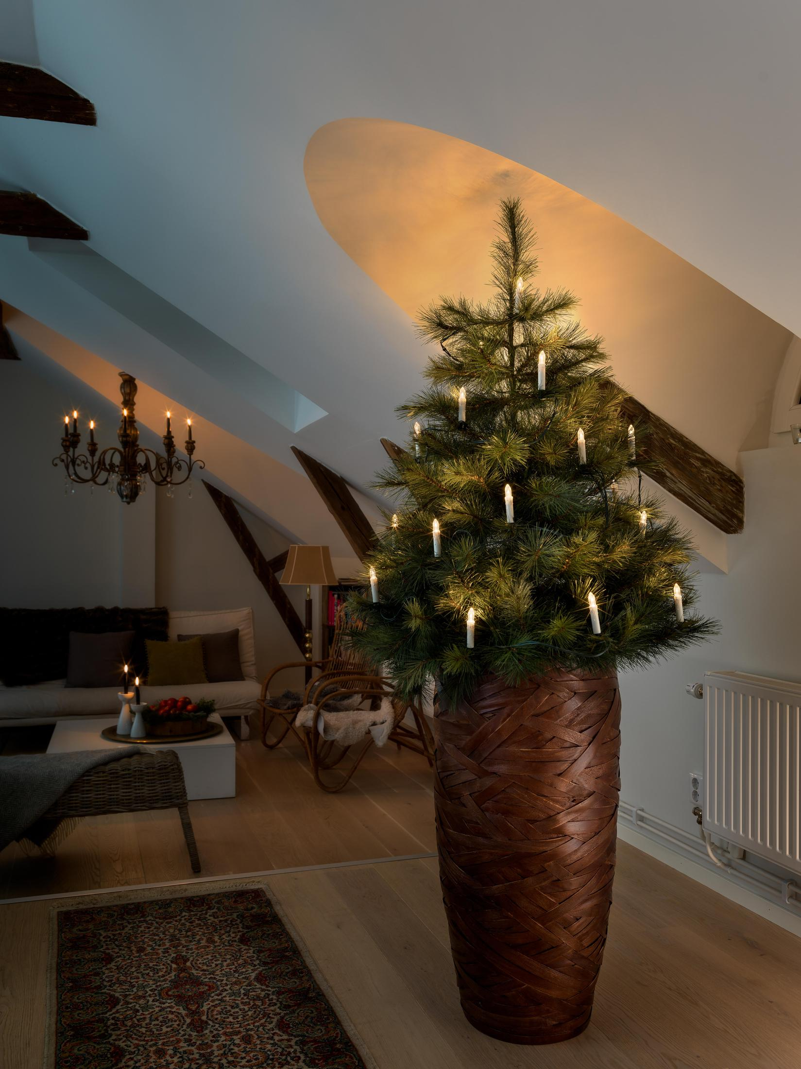 Weihnachtsbaum in einem hohen, braunen, gewebten Topf, mit Kerzen darauf. Weiße Wände, Holzdecke.
