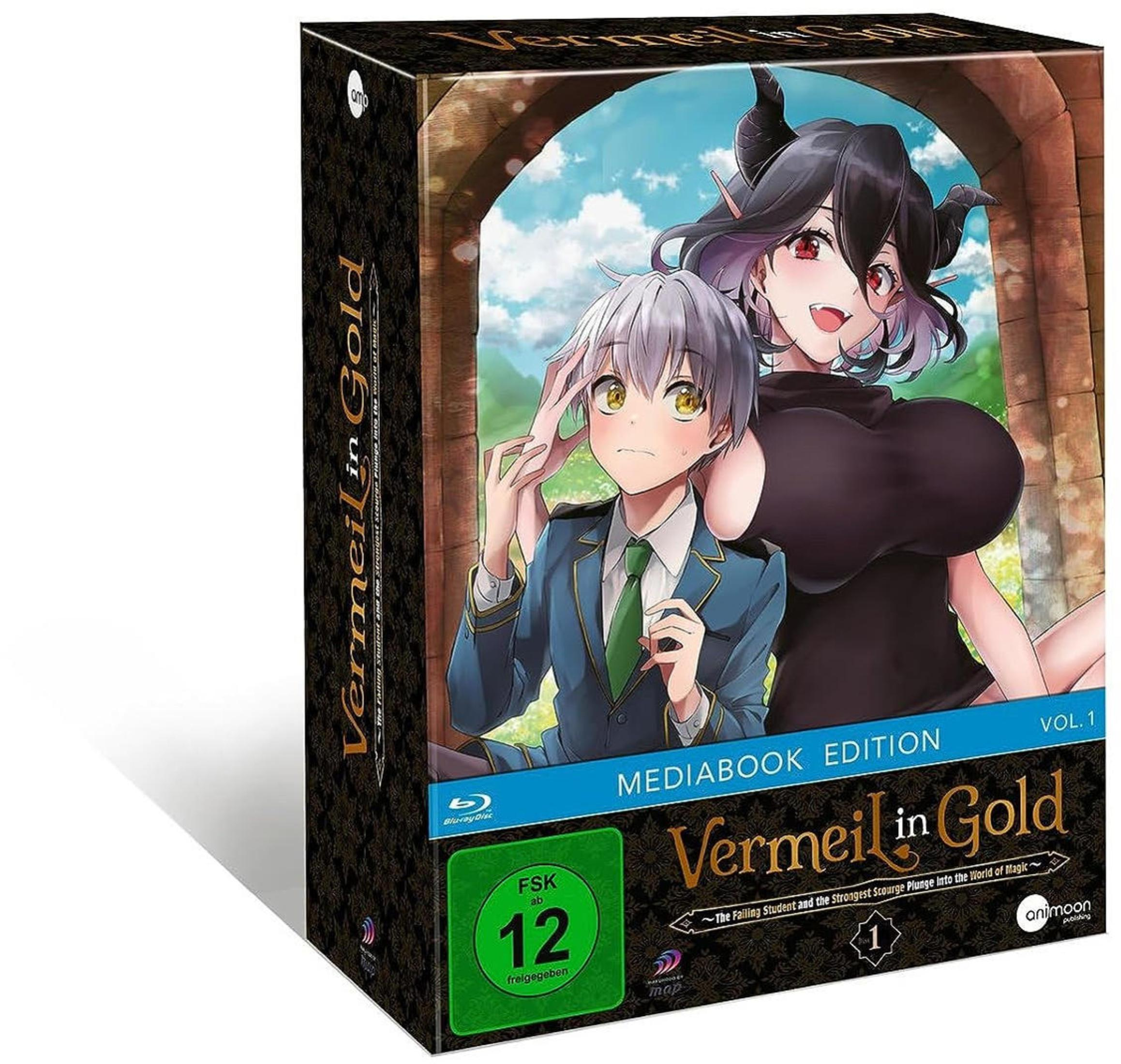 Anime-DVD-Boxset. Das Cover zeigt einen Jungen und ein Mädchen. Der Titel lautet "Vermeil in Gold".