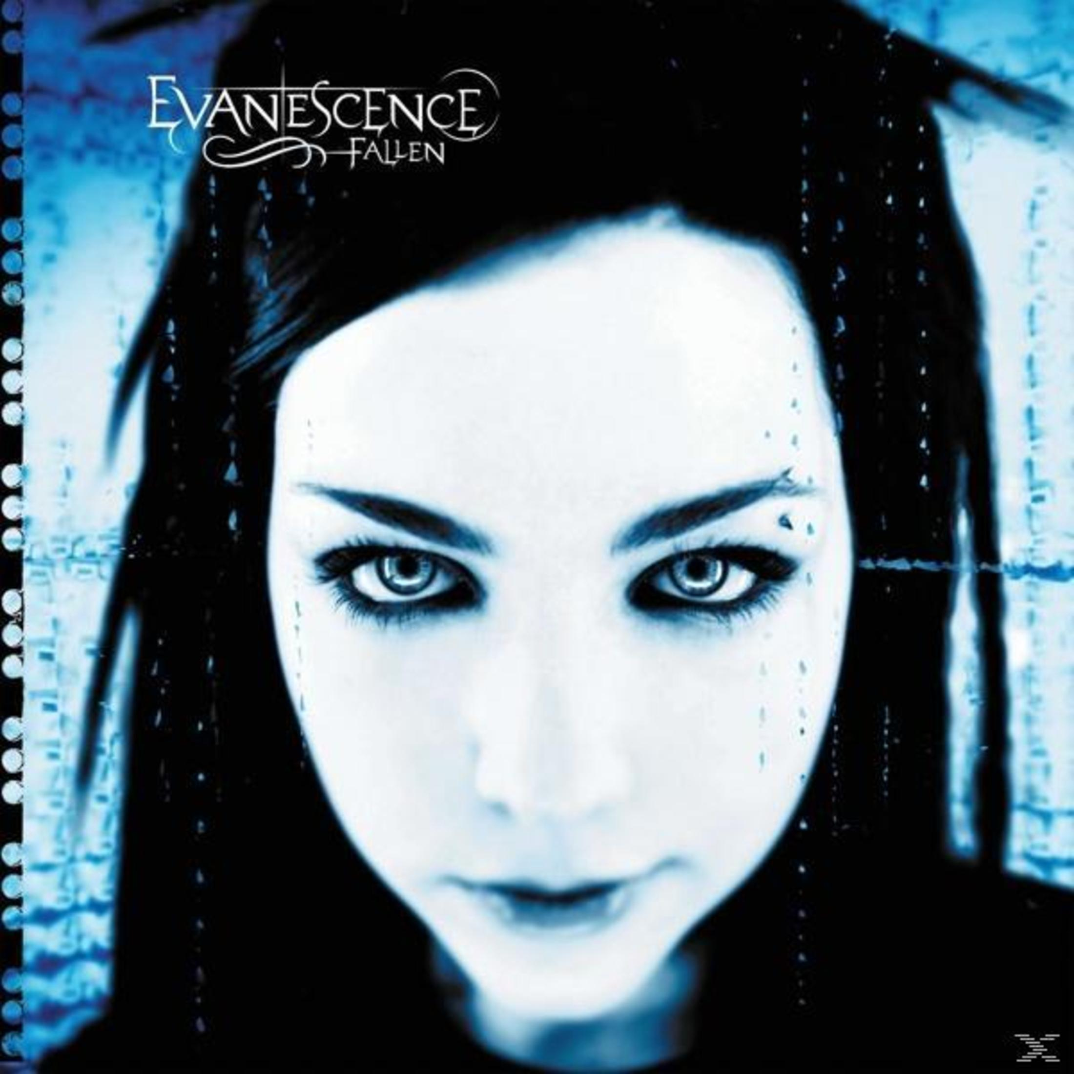 Copertina dell'album degli Evanescence con il volto di Amy Lee. Capelli scuri, toni blu, striature a forma di lacrima, sguardo intenso.