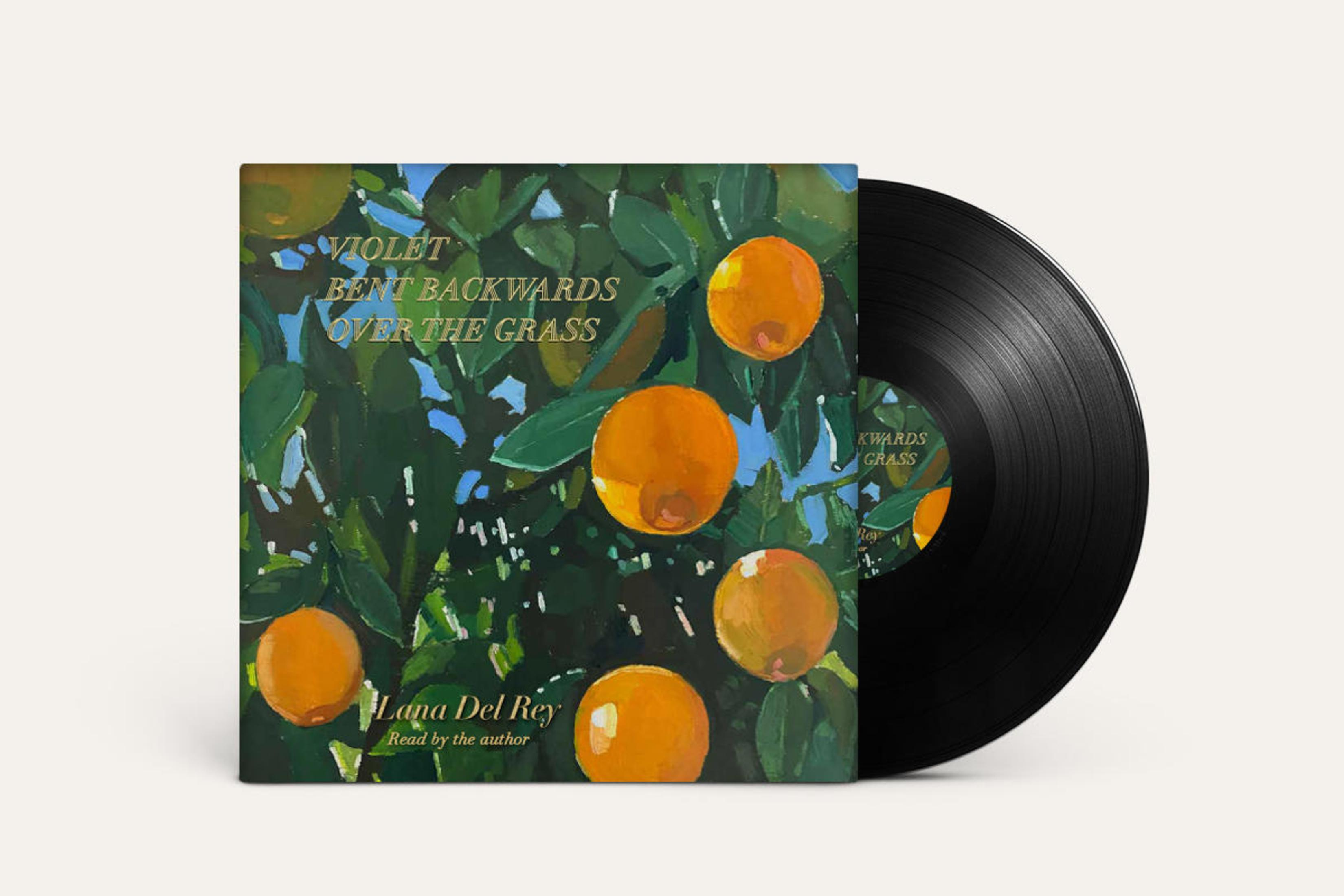 Pochette de vinyle de Lana Del Rey, peinture d'oranges dans un arbre. Disque vinyle à droite.