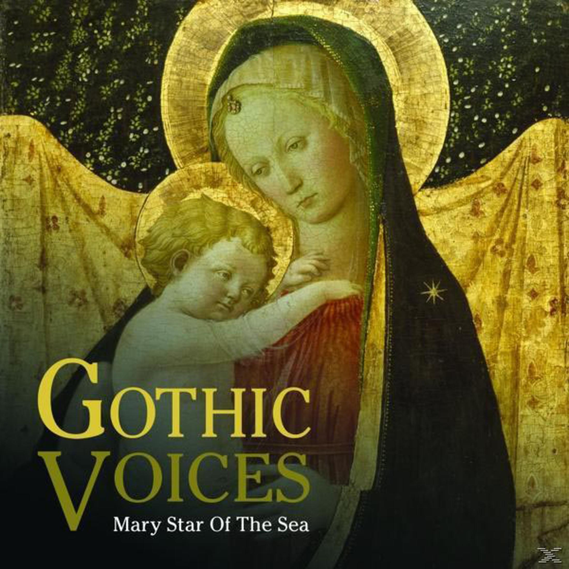 Albumhoes met een schilderij van Maria en het kindje Jezus met de woorden "Gothic Voices" eronder.