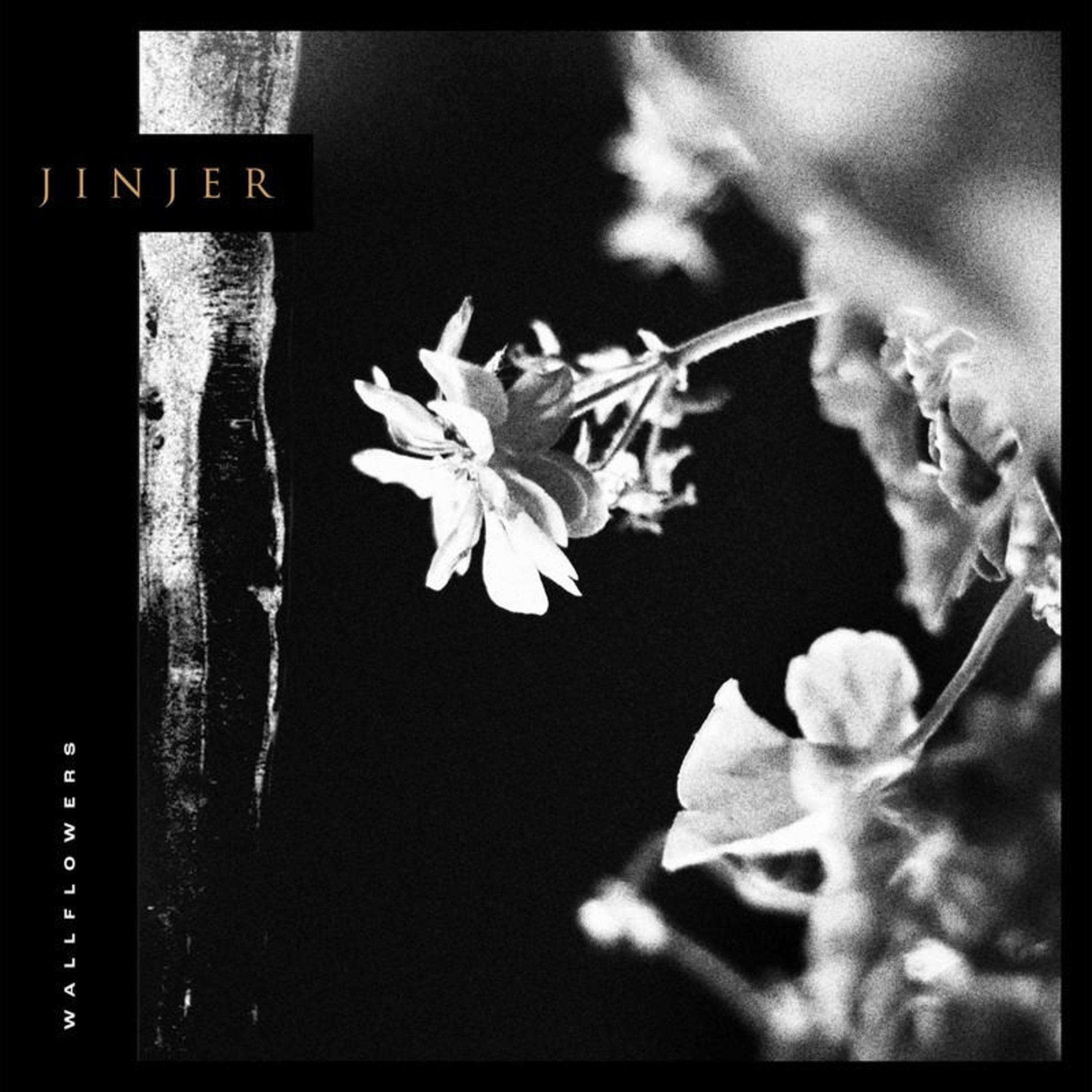 Zwart-wit albumhoes. Een bloem met een donkere achtergrond en het woord JINJER bovenaan.