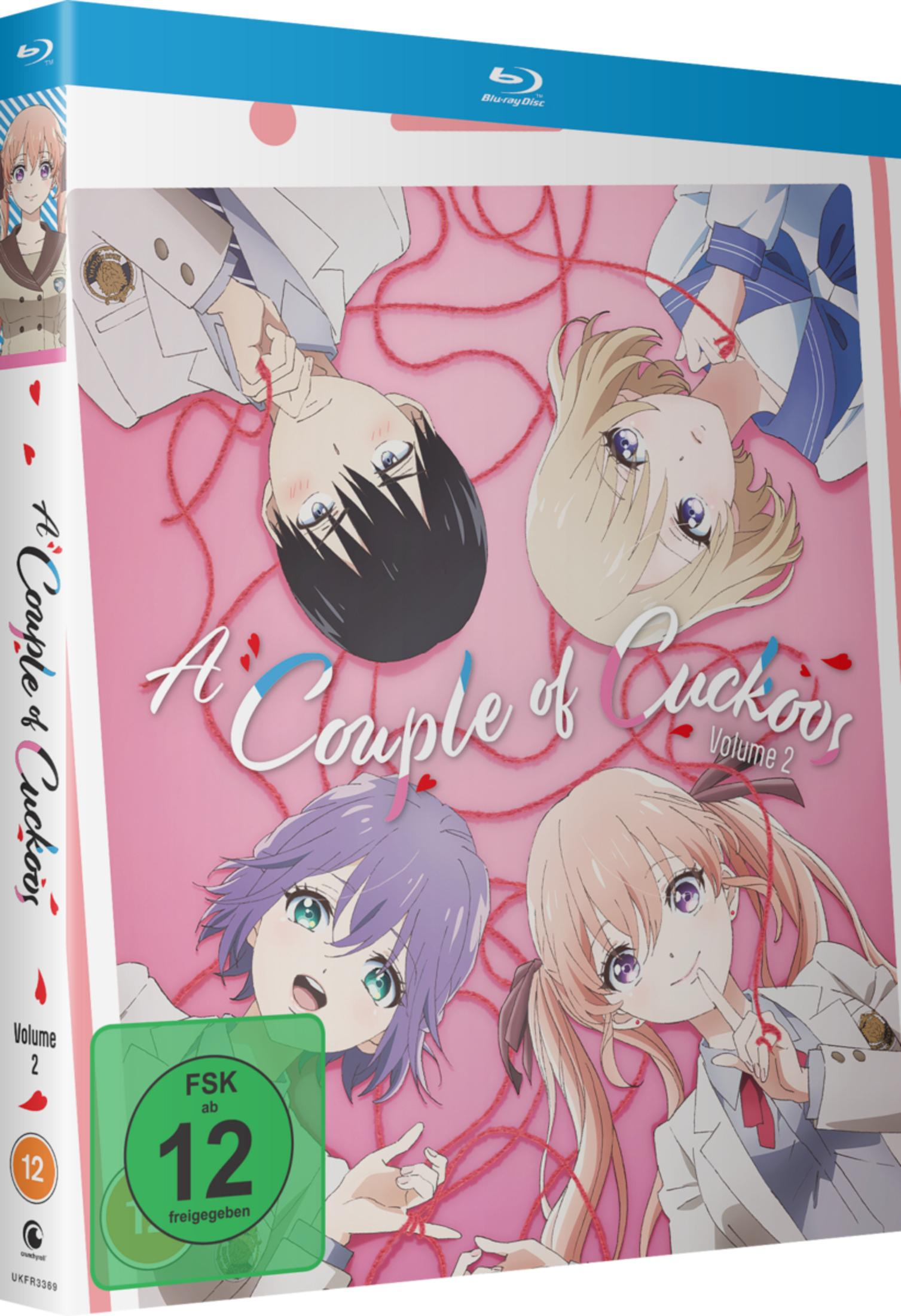 Blu-ray-Hülle mit Anime-Charakteren. Vier Charaktere mit pinkem Hintergrund.