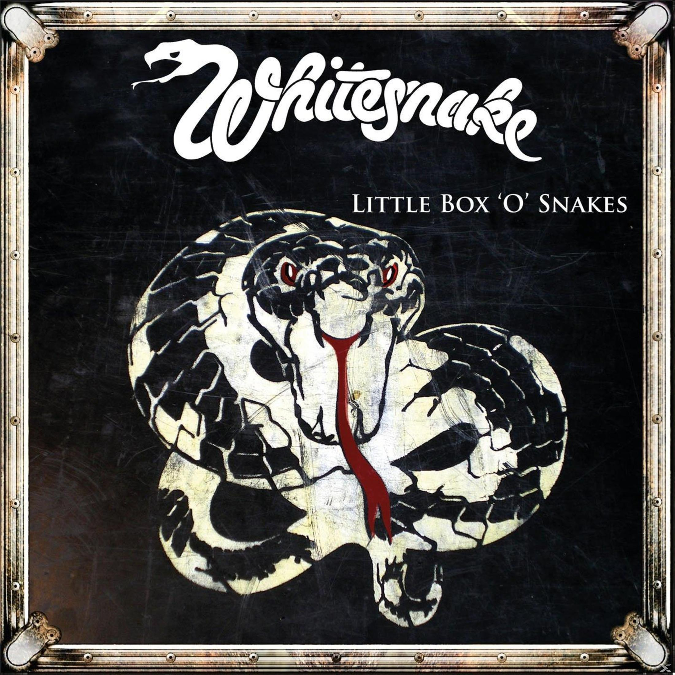 Albumhoes: Whitesnake album art. Een witte slang met rode ogen, op een zwarte achtergrond.
