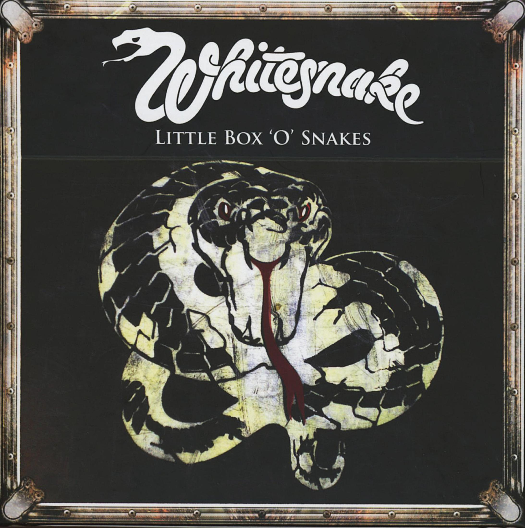 Whitesnake albumhoes. Een slangenkop met zwart-wit patroon, op een zwarte achtergrond in een kader.