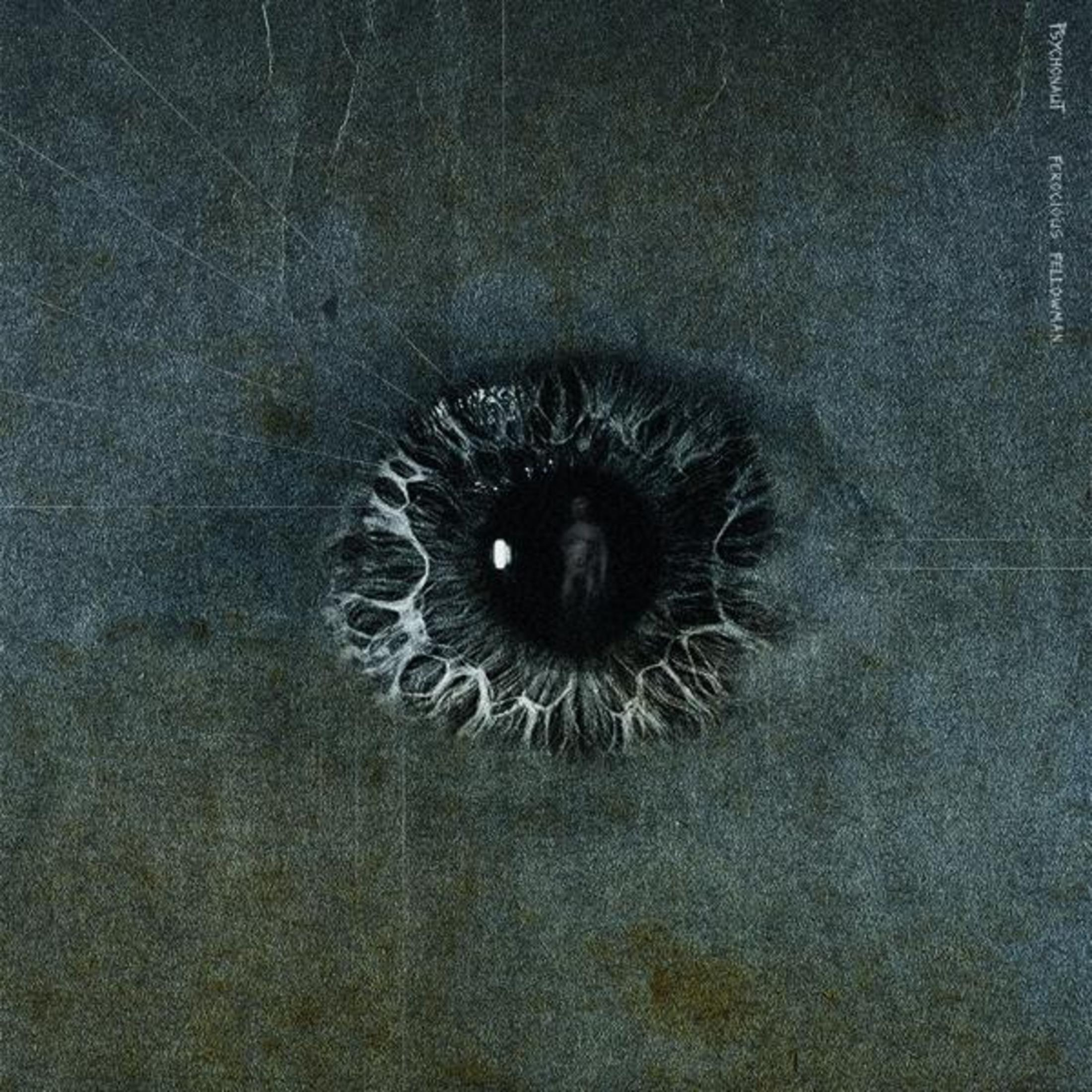 Copertina dell'album, un occhio con una persona dentro. Scuro con testo 'Psychonaut' e altro.