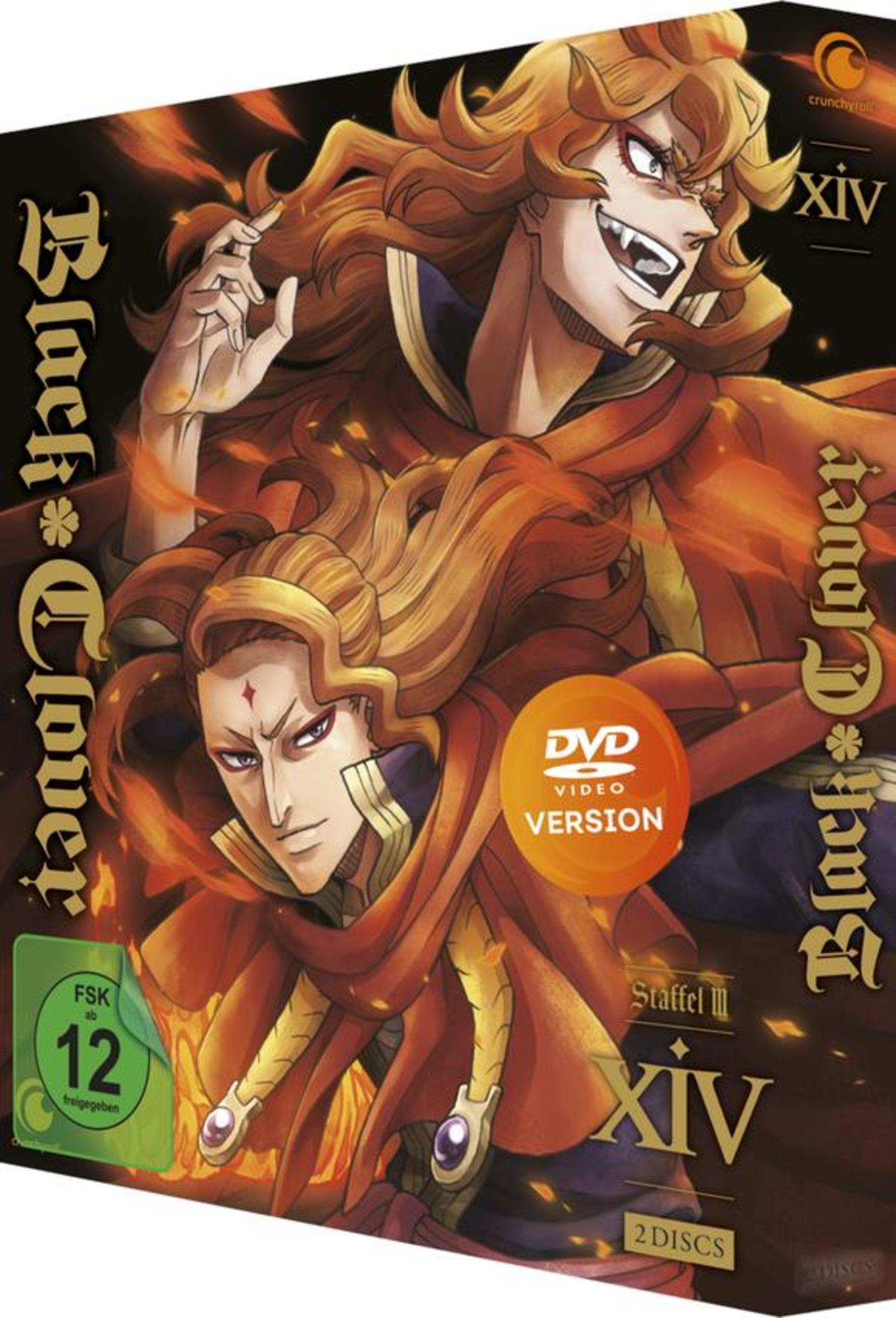 Anime-DVD-Box-Set mit zwei Charakteren auf dem Cover. Text in mehreren Sprachen. Weißer Hintergrund.