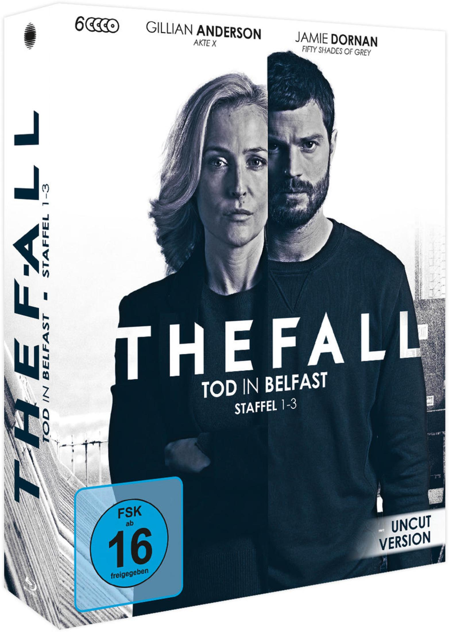 DVD-Cover von The Fall Staffel 1-3 mit Gillian Anderson und Jamie Dornan in einem schwarz-weißen Foto.