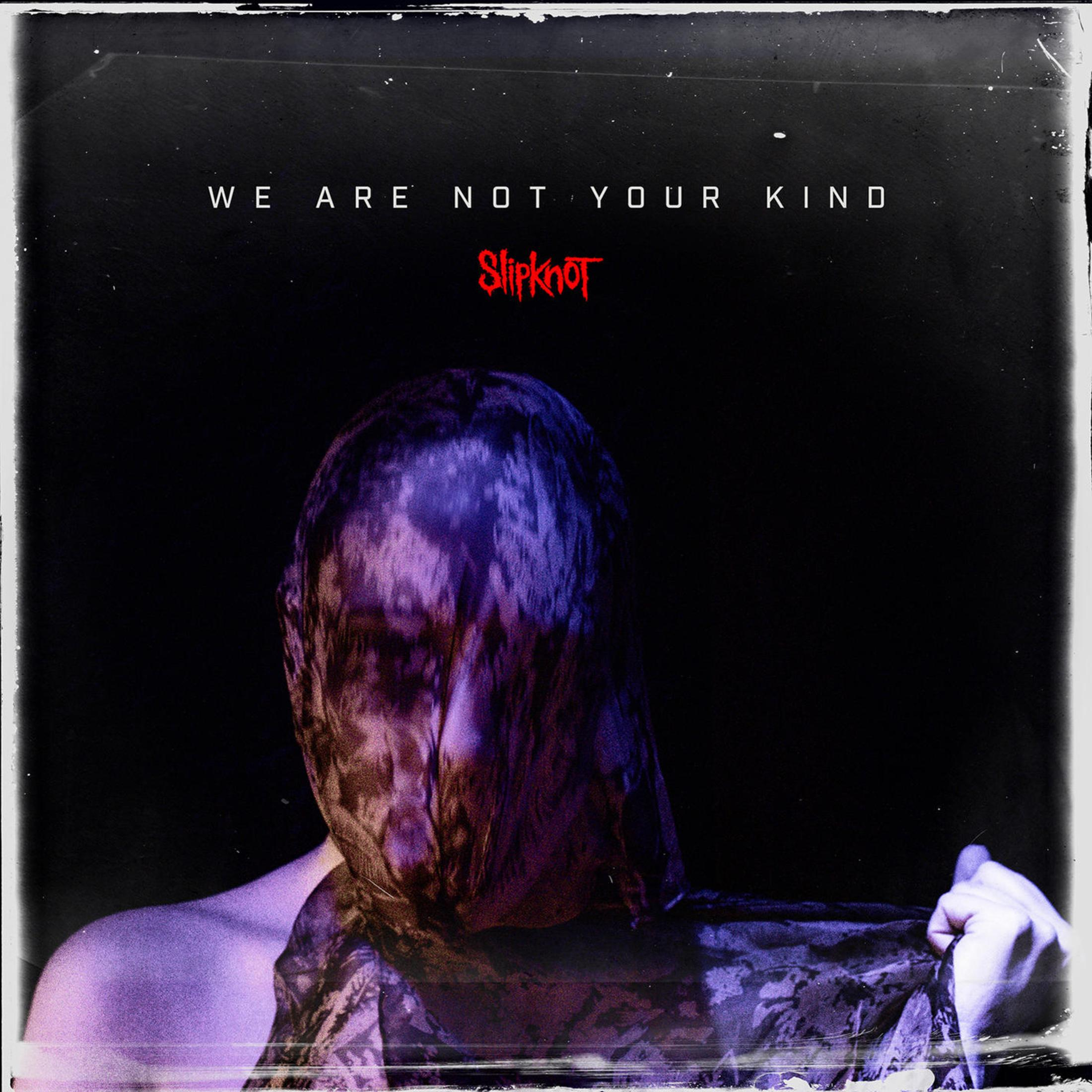 Copertina dell'album con una persona mascherata e il titolo 'We Are Not Your Kind' di Slipknot.