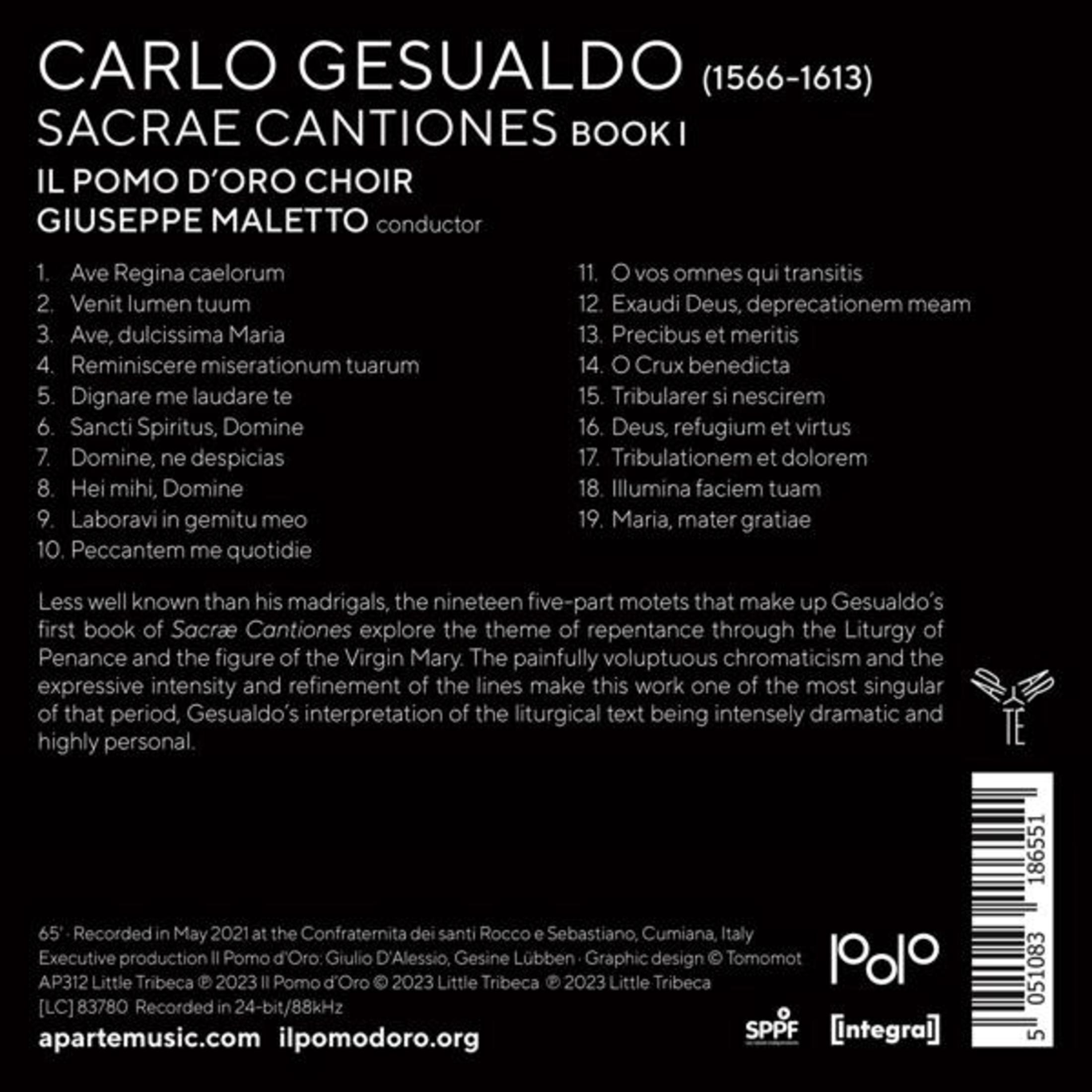 Retro copertina dell'album con tracklist. Testo nero, sfondo bianco.