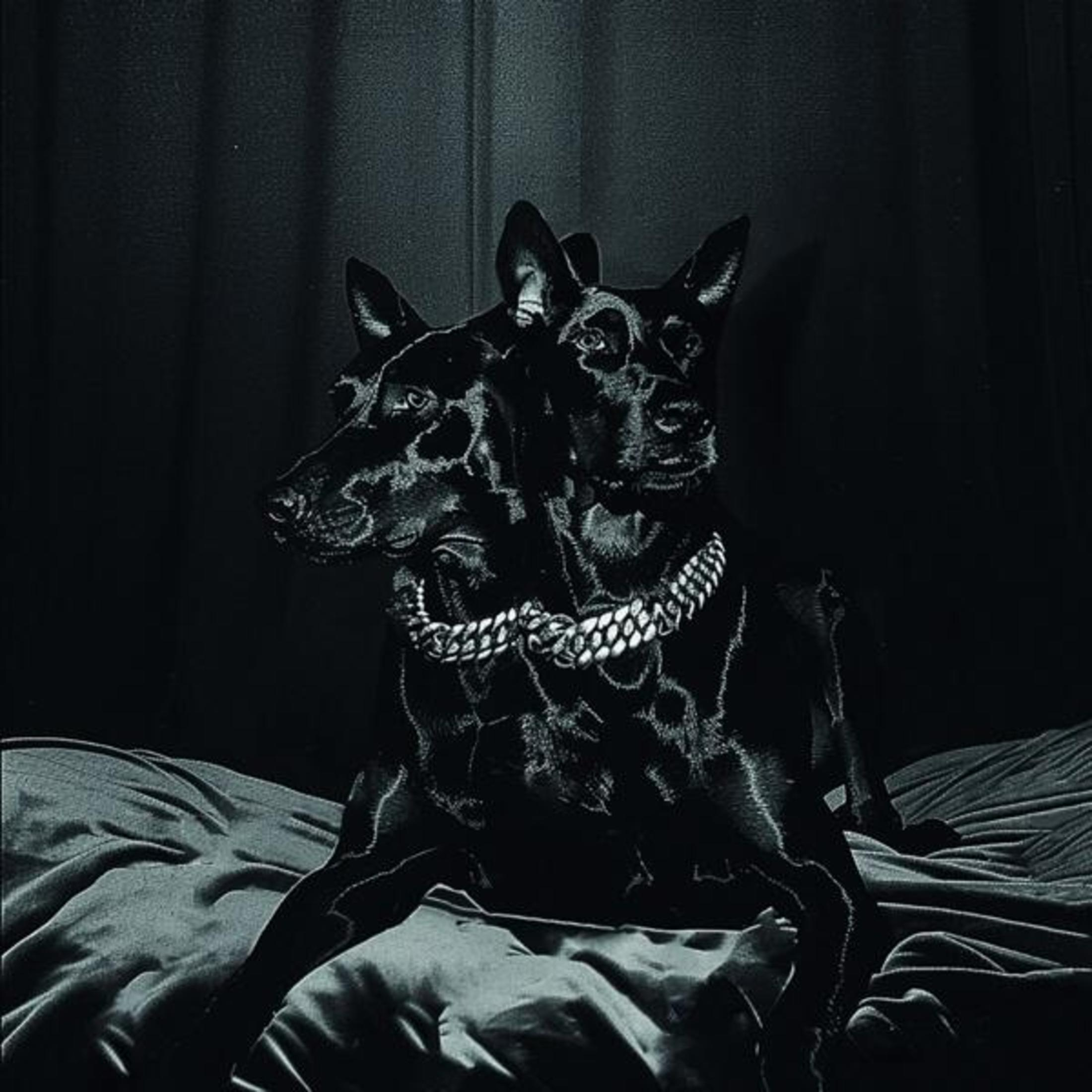 Immagine in bianco e nero di due cani con catena d'argento. Sono seduti su un letto.