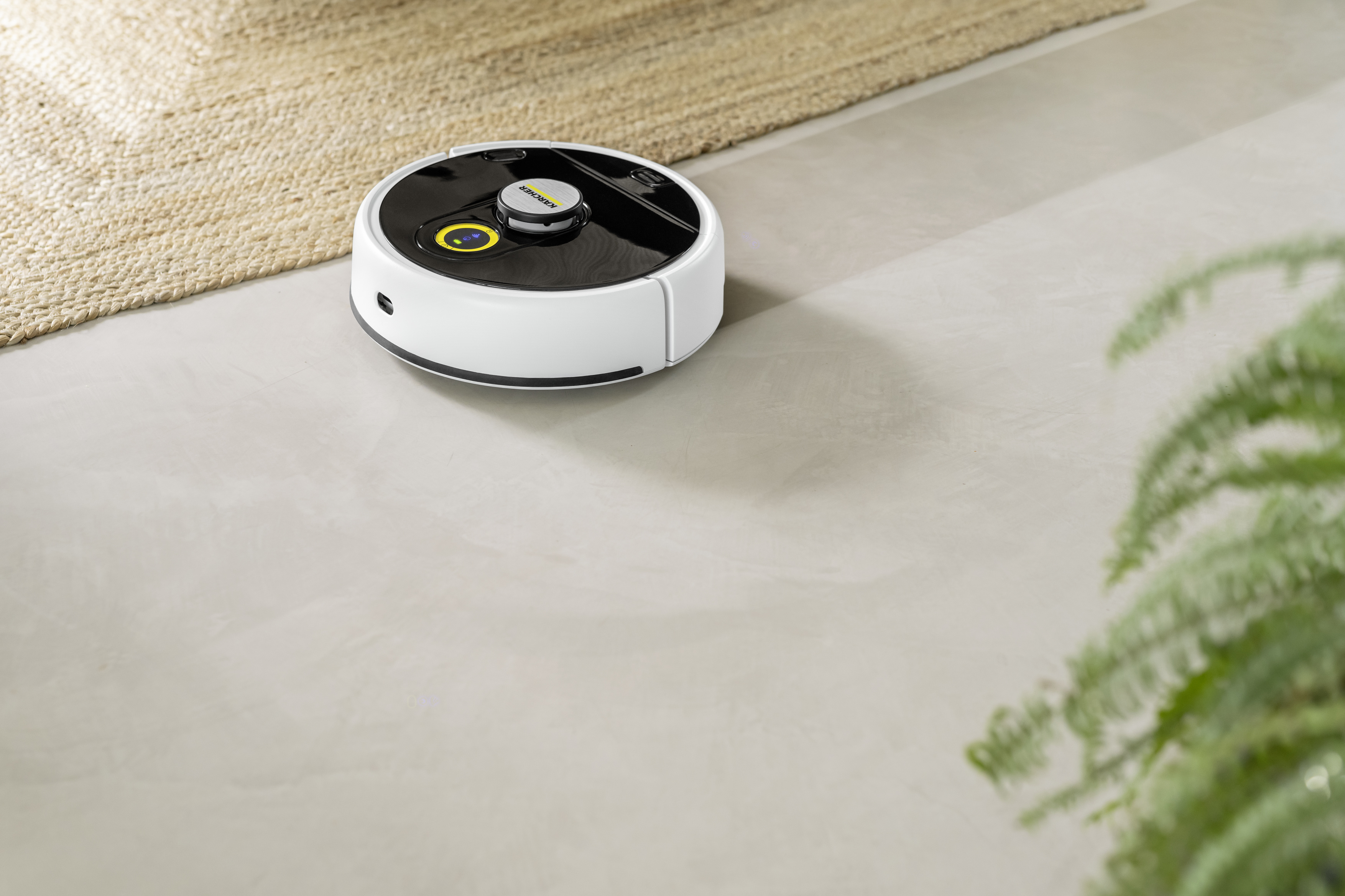 Biało-czarny robot sprzątający na jasnej podłodze, obok dywanu i zielonej rośliny.