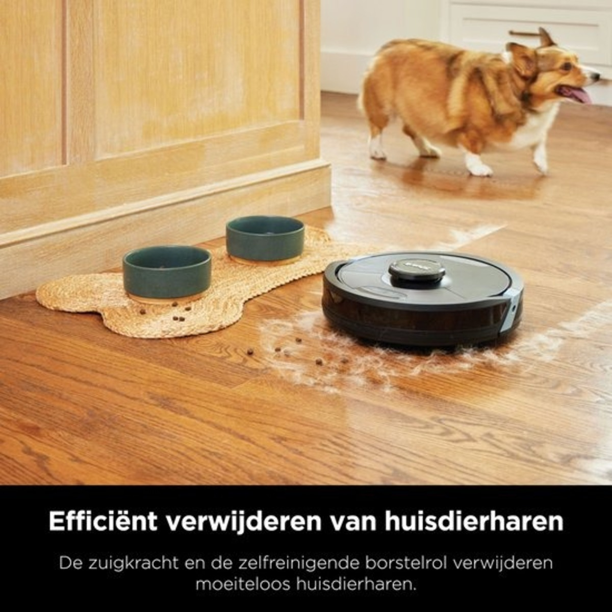 Robot vacuum cleaner on a wooden floor, a dog in the background, and bowls.