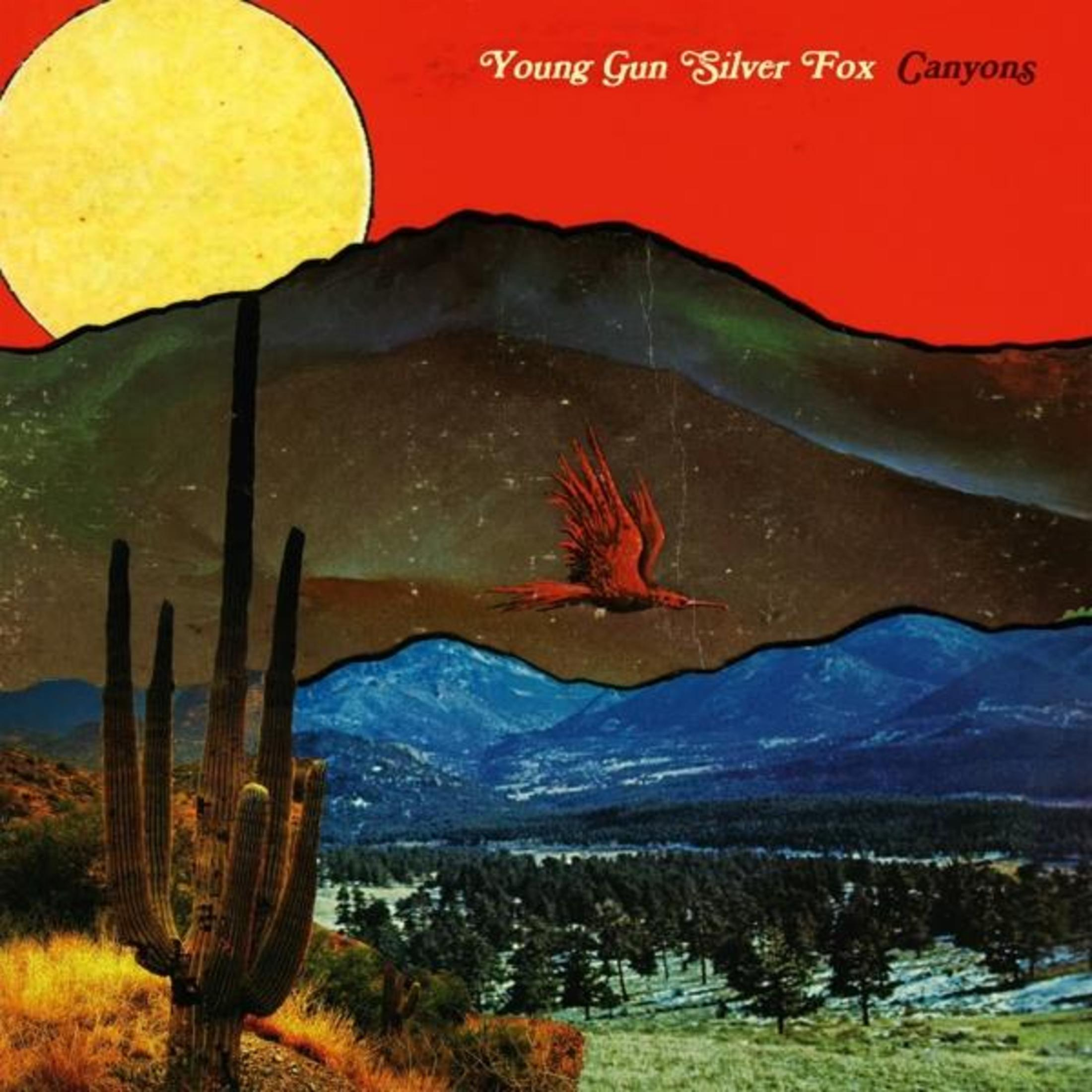 Pochette d'album avec scène désertique, soleil, montagnes et oiseau rouge.