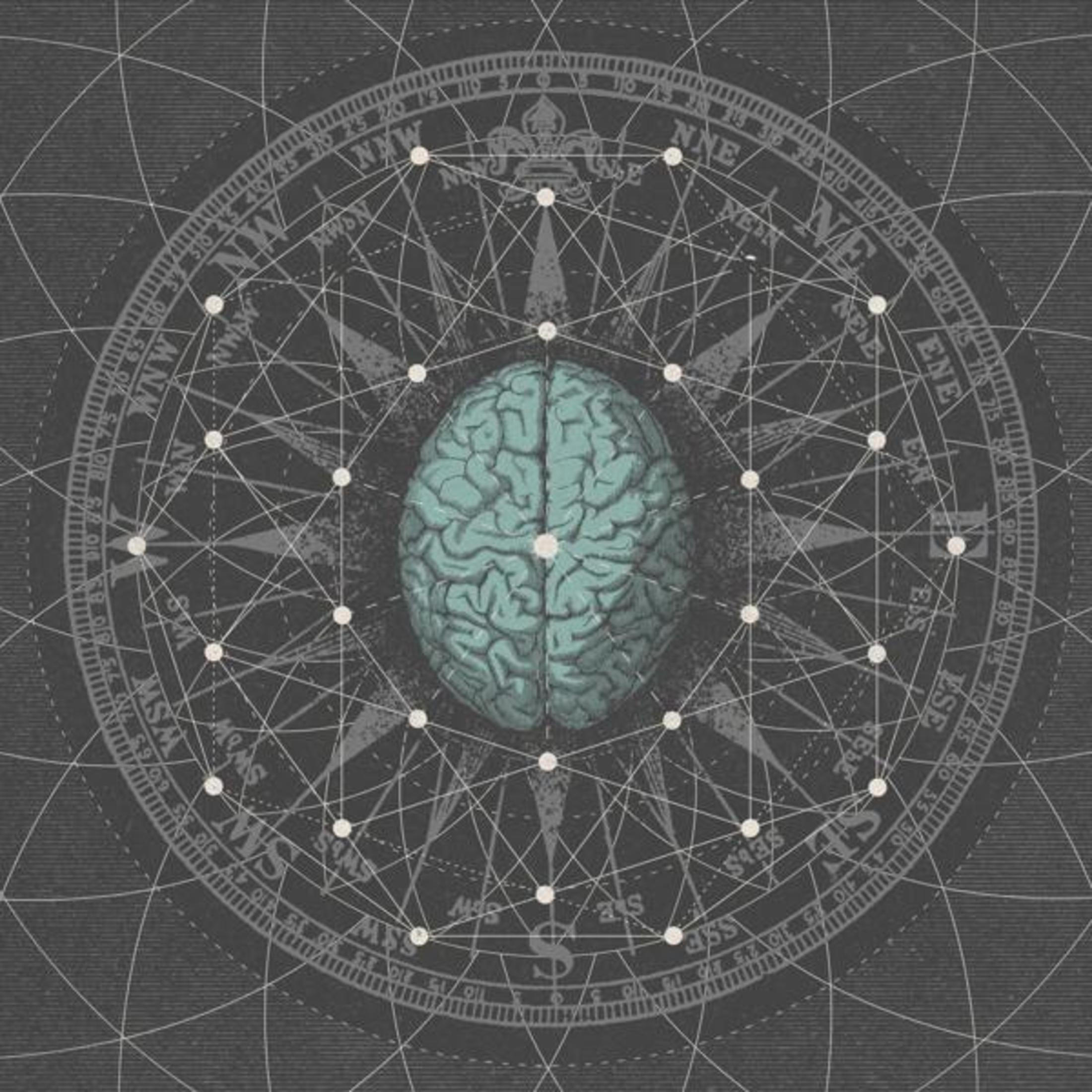 Diagramma di un cervello al centro di una bussola, su sfondo grigio scuro.