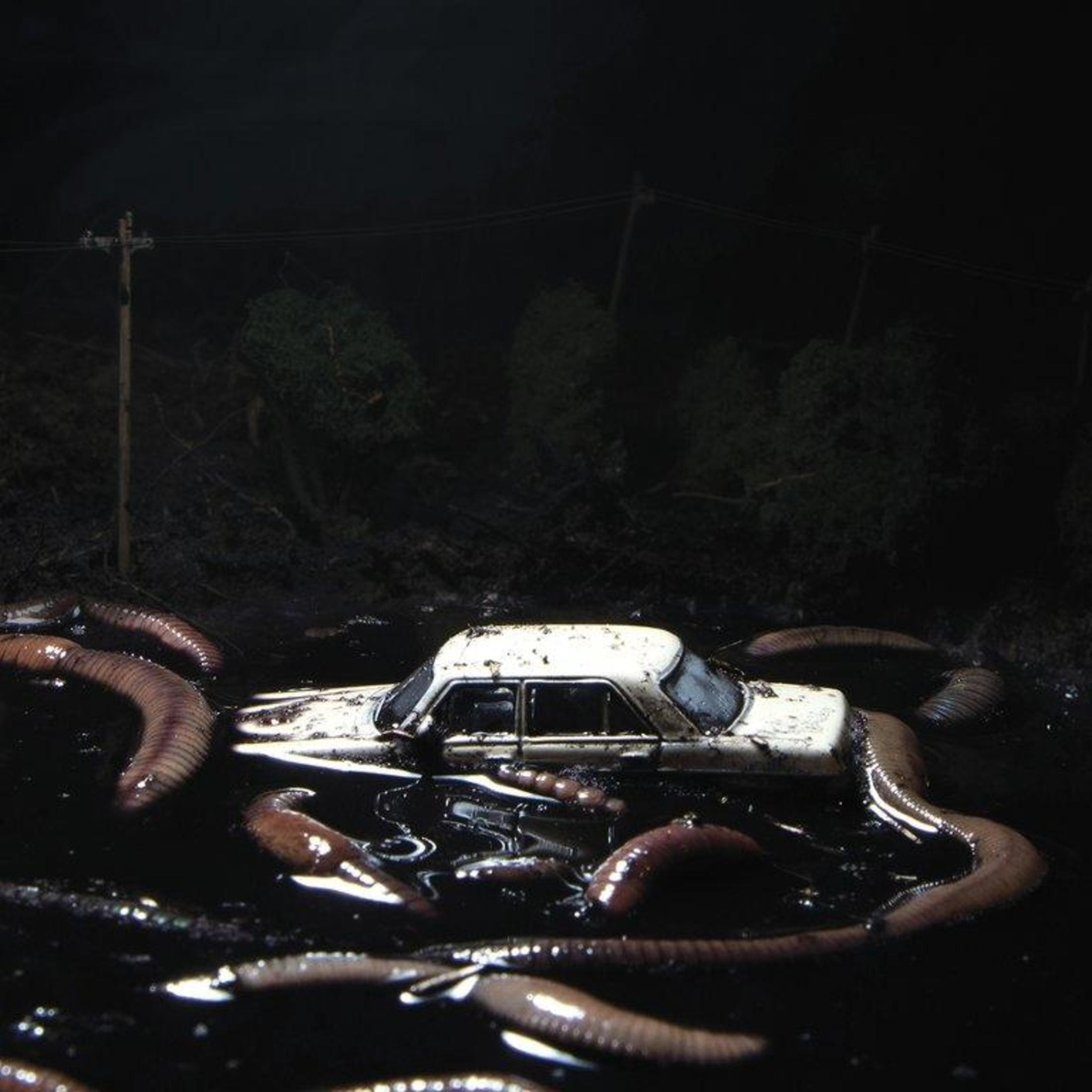 Foto: Auto nell'acqua, vermi. Scena oscura, sfondo scuro.