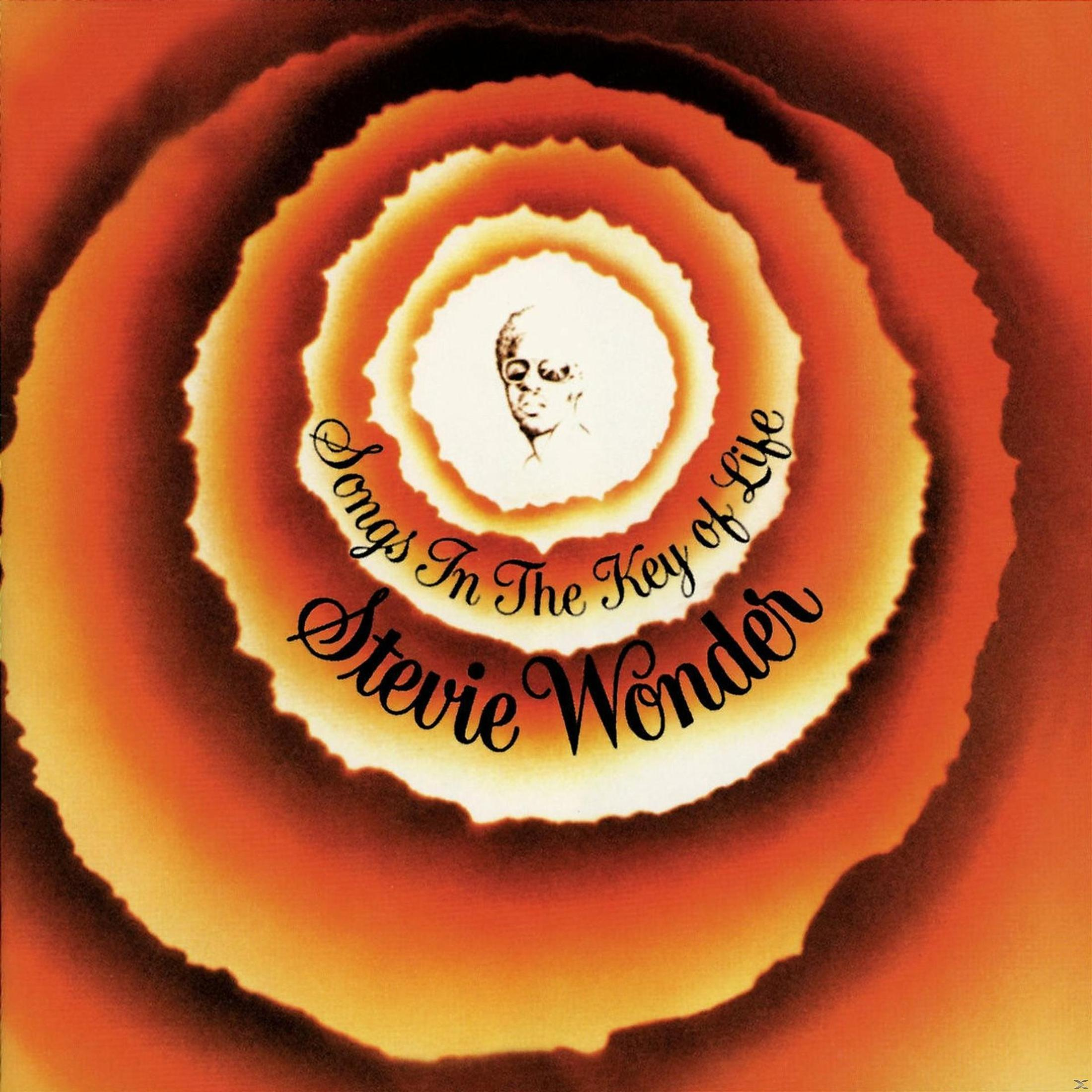 Copertina album: Cerchi concentrici con il volto di Stevie Wonder.