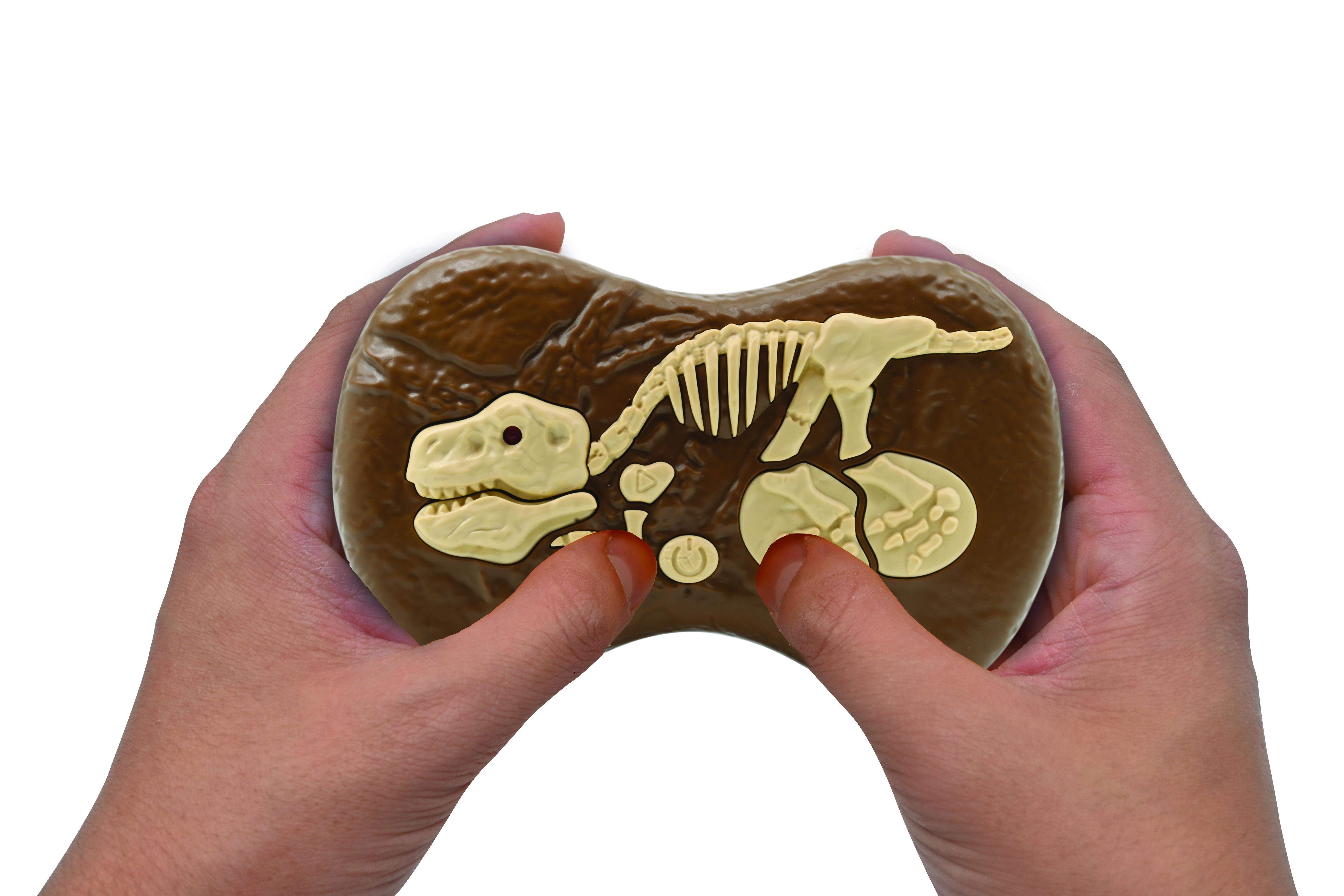 Manos sosteniendo un juguete de fósil de dinosaurio. Base marrón con detalles óseos. Fondo blanco. Juguete infantil.