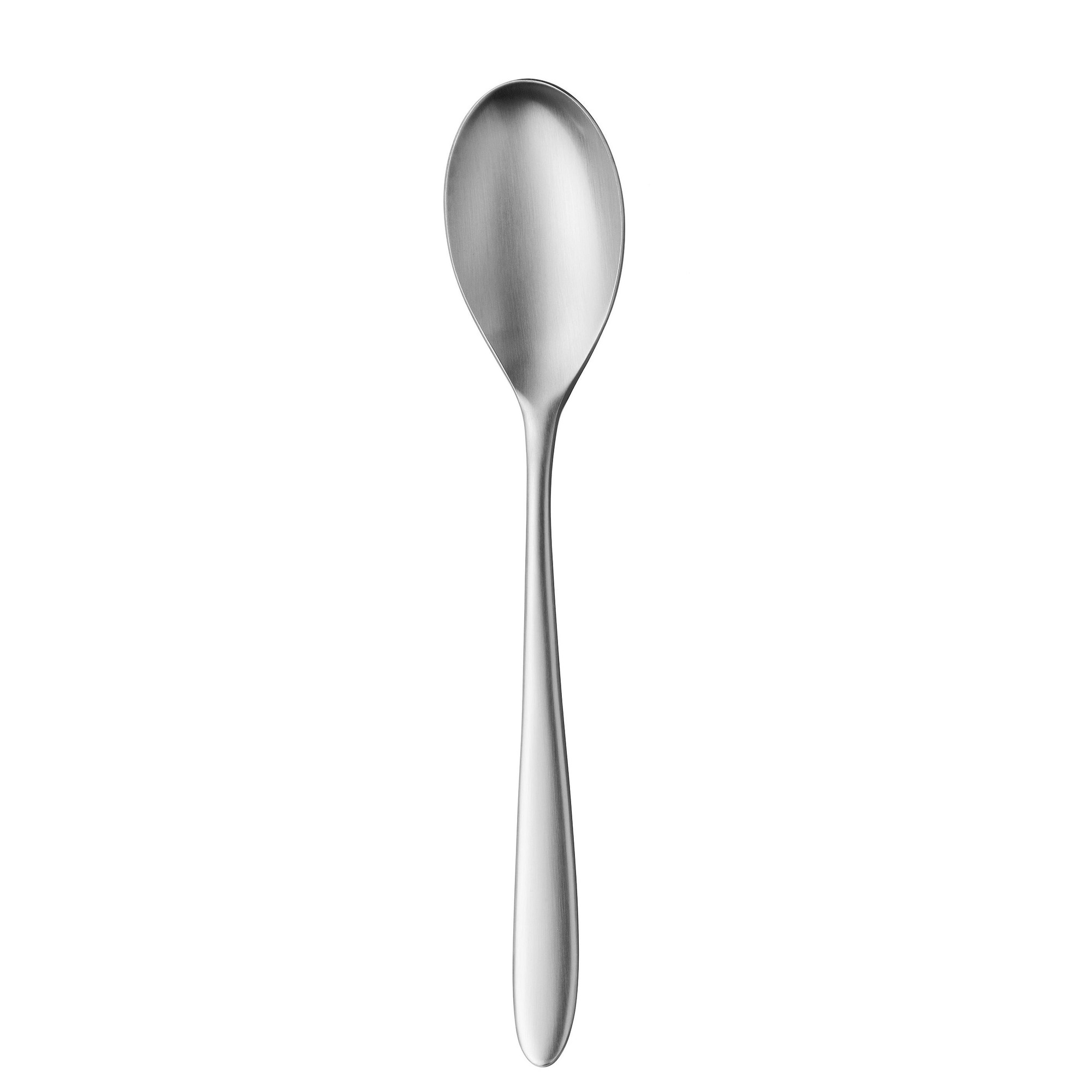 Un cucchiaio d'argento su sfondo bianco. Il cucchiaio ha un lungo manico e una coppa arrotondata.