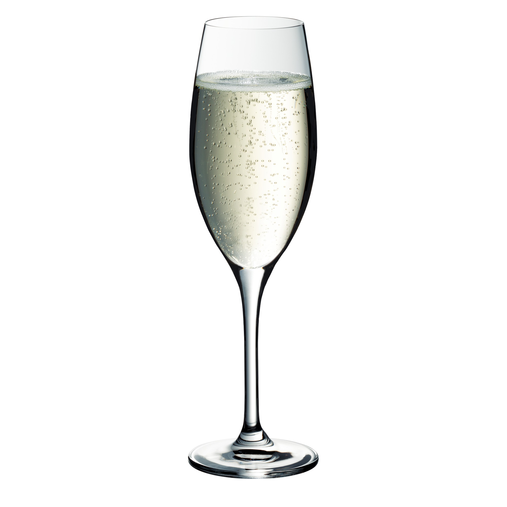 Ein hohes Sektglas gefüllt mit sprudelndem Sekt.
