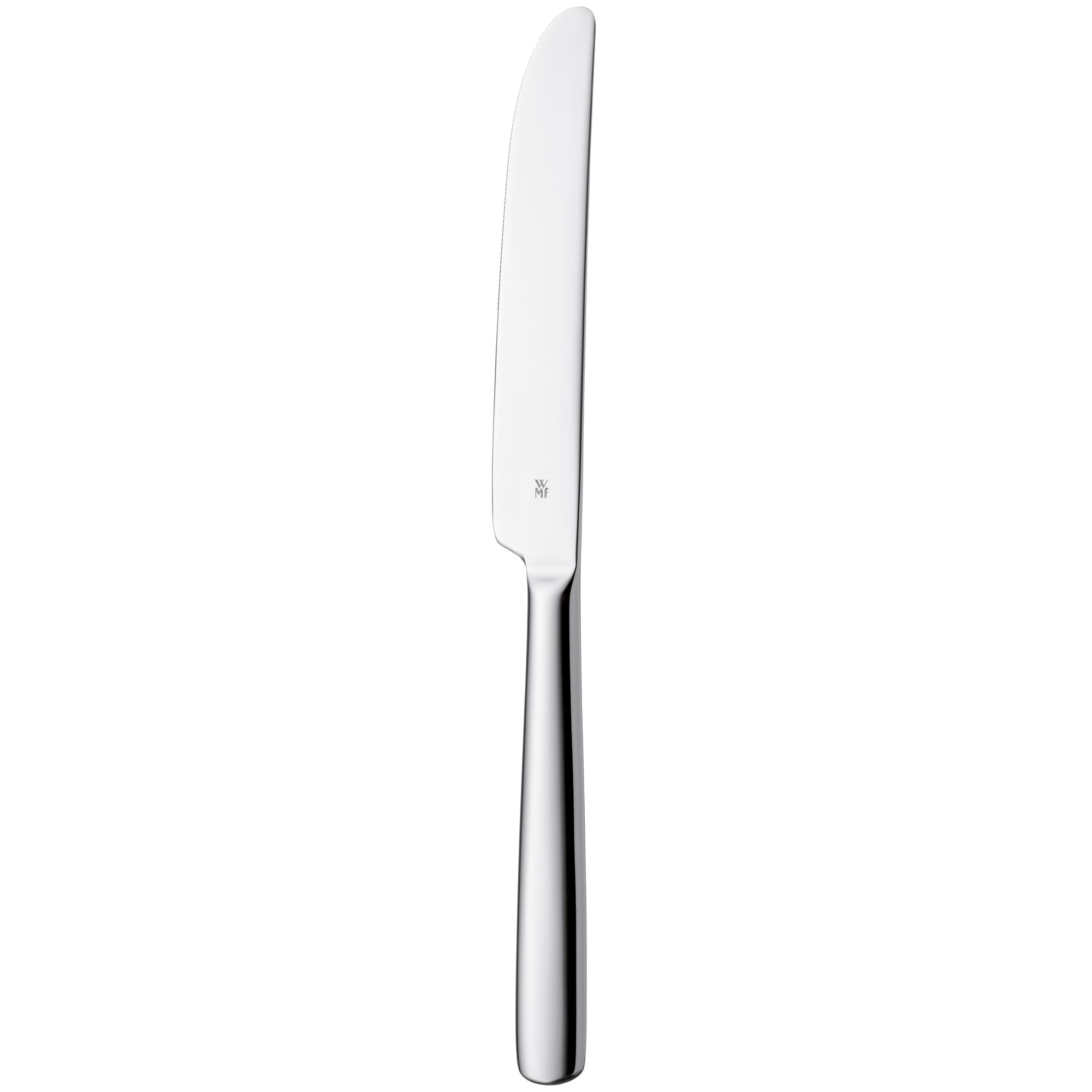 Ein Edelstahlmesser mit langer, gebogener Klinge und silberfarbenem Griff.