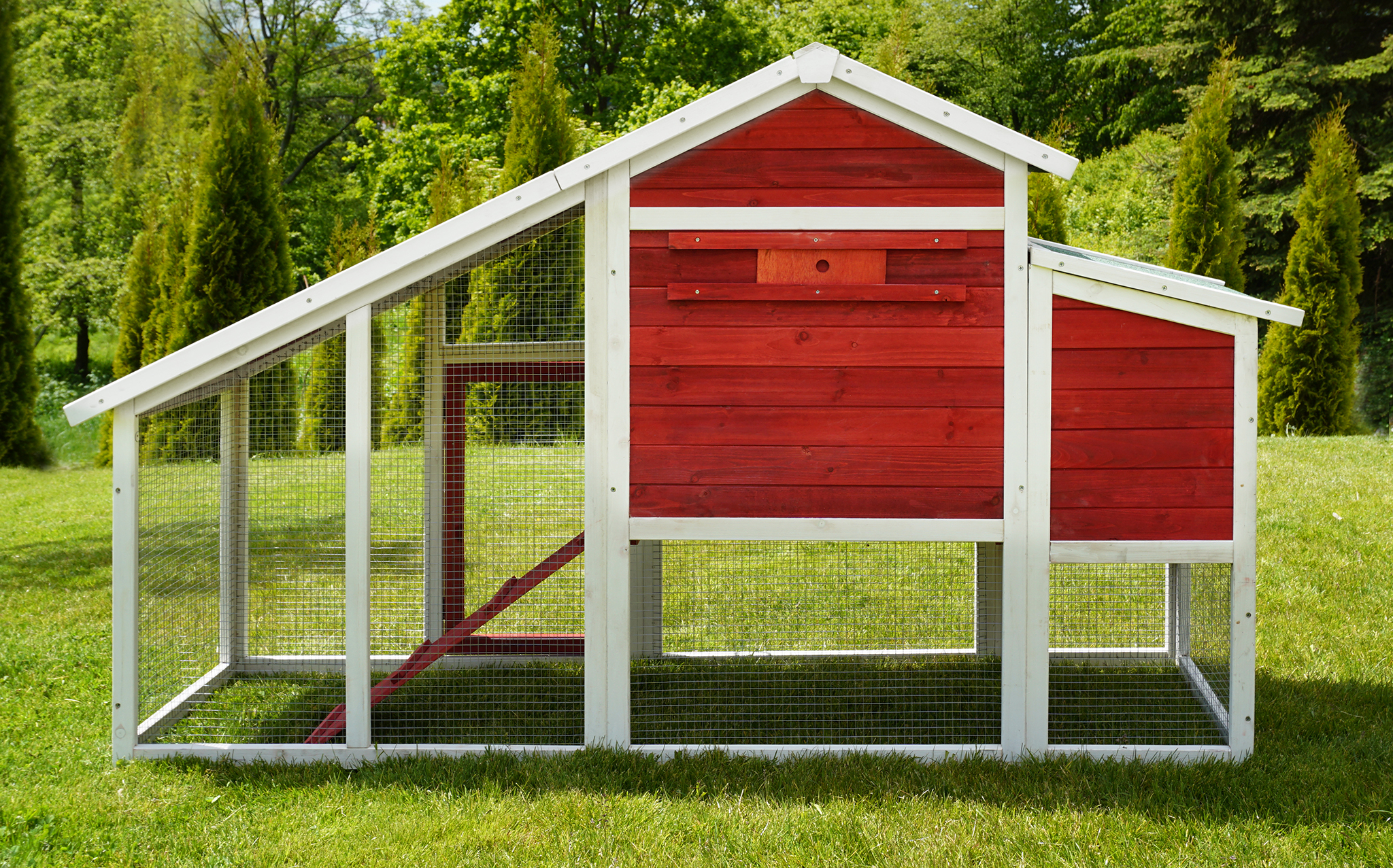Ein rot-weißer Hühnerstall auf grünem Gras, umgeben von Bäumen und blauem Himmel.