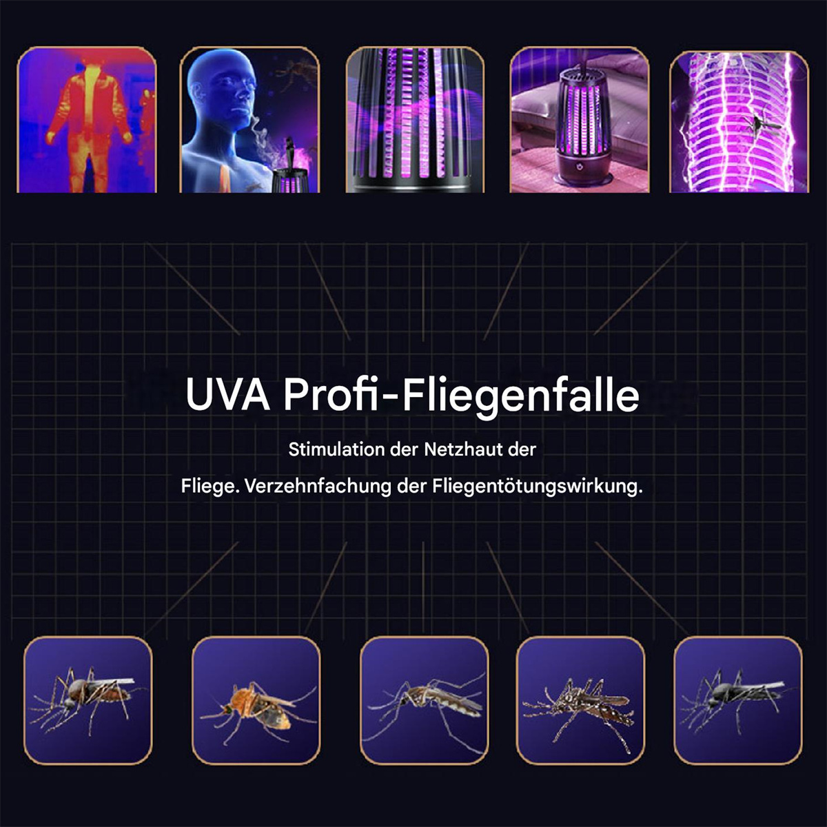 Eine Werbung mit Grafiken einer Fliegenfalle, einschließlich Diagrammen von Insekten und der Funktion des Geräts.