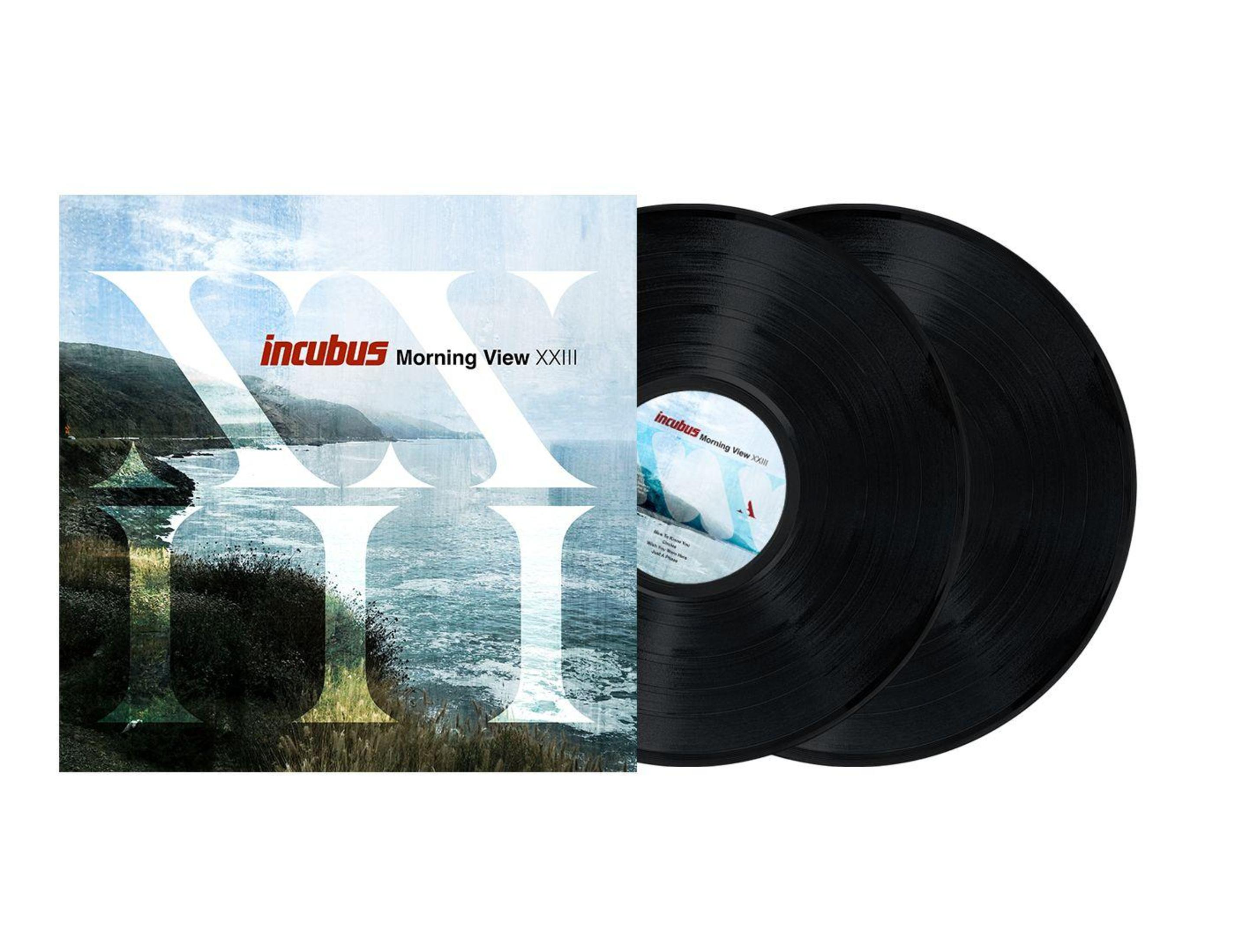 Copertina dell'album. Il nome della band, il titolo dell'album e due dischi in vinile neri.
