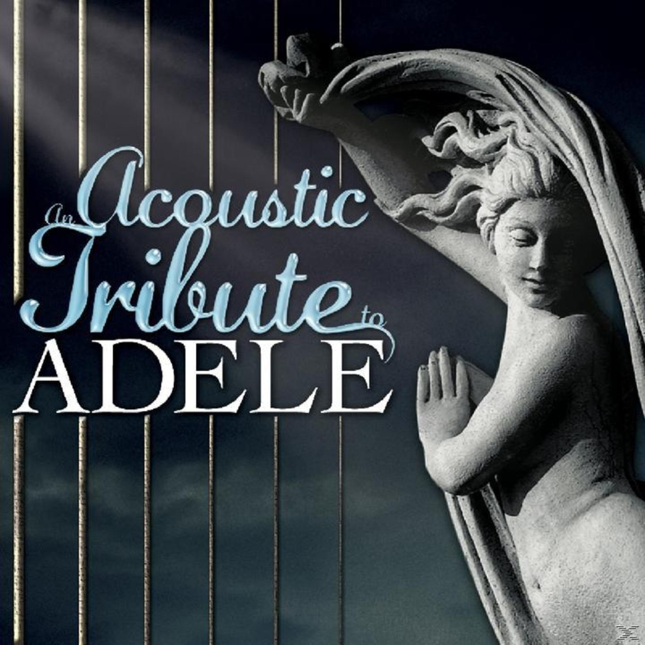 Albumhoes: Standbeeld met tekst: An Acoustic Tribute to ADELE. Achtergrond is donker, met staven en licht.