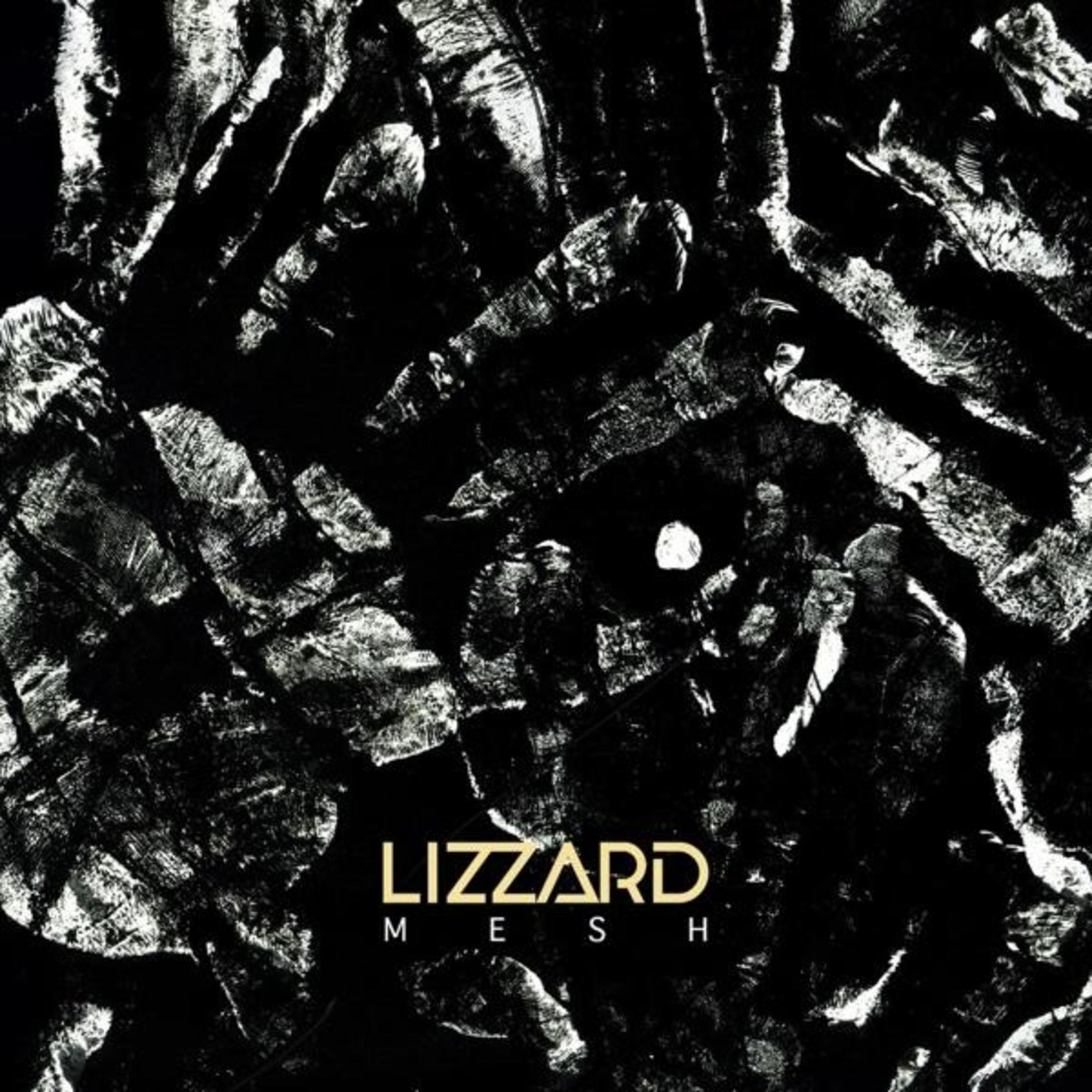 Albumhoes met een zwart-wit abstract ontwerp en tekst: LIZZARD MESH.