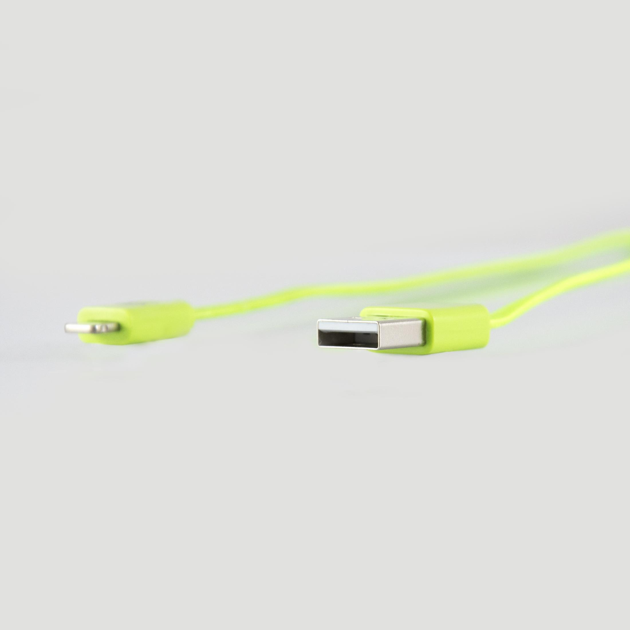 Ein grünes USB-C-Kabel mit einem USB-A-Anschluss und einem USB-C-Anschluss auf weißem Untergrund.