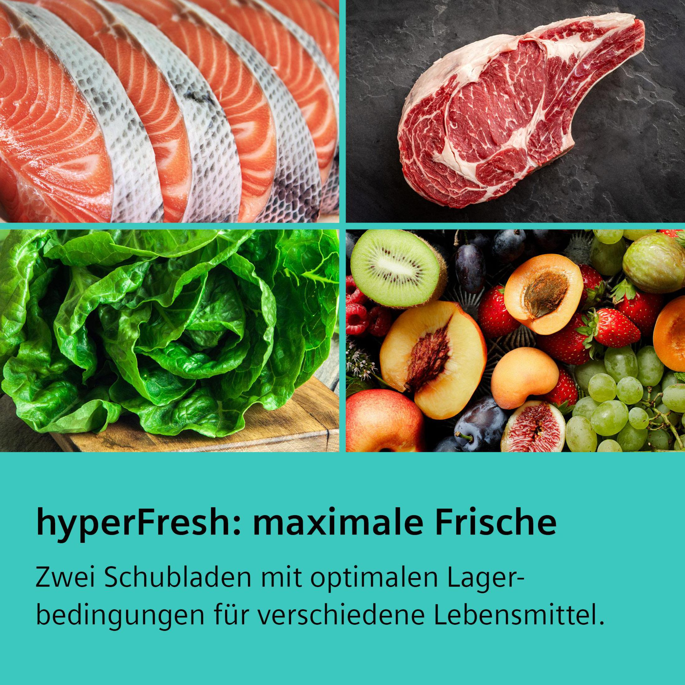 Collage von Lebensmitteln. Lachs, Steak, Salat und eine Vielzahl von Früchten, mit deutschem Text.