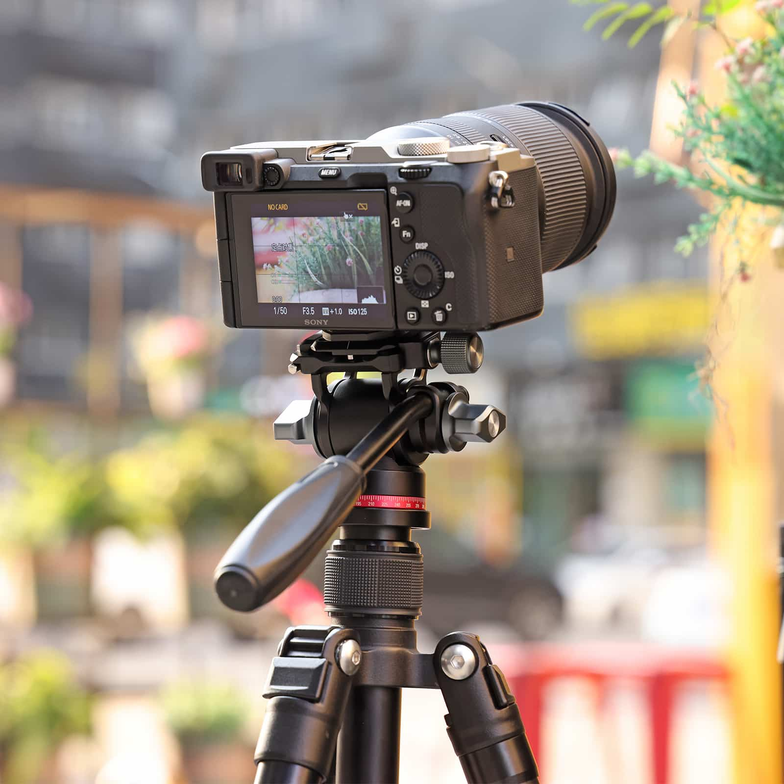 Aparat na statywie, z rozmytym tłem roślin i budynków.