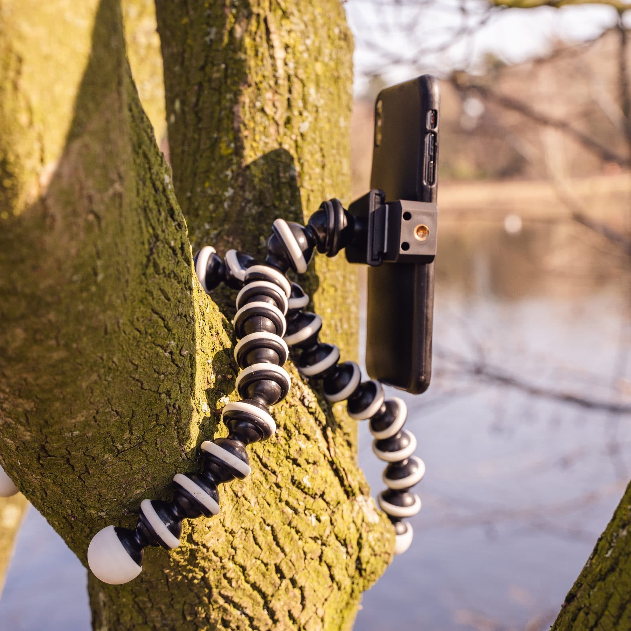 Black phone mounted on a flexible tripod, attached to a tree. A lake is in the background.