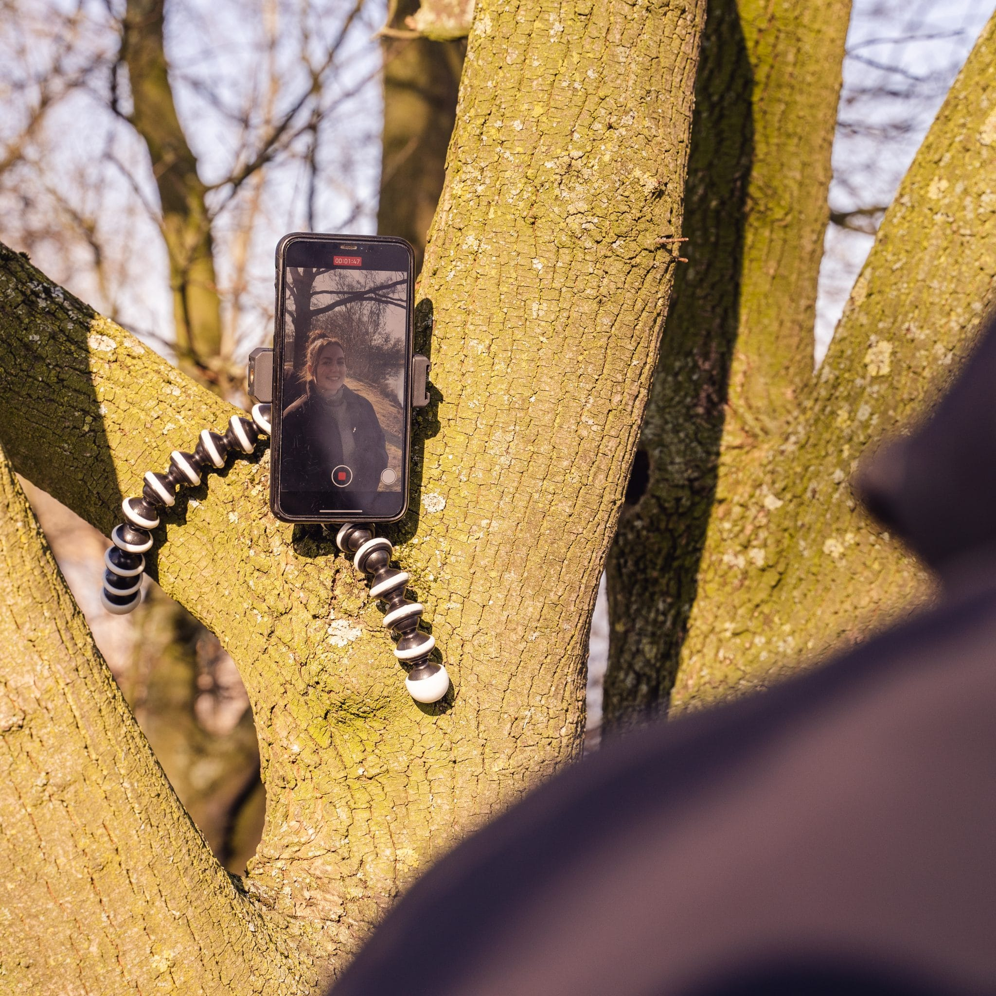 Smartphone on a flexible tripod attached to a tree. Woman is visible on the phone's screen.