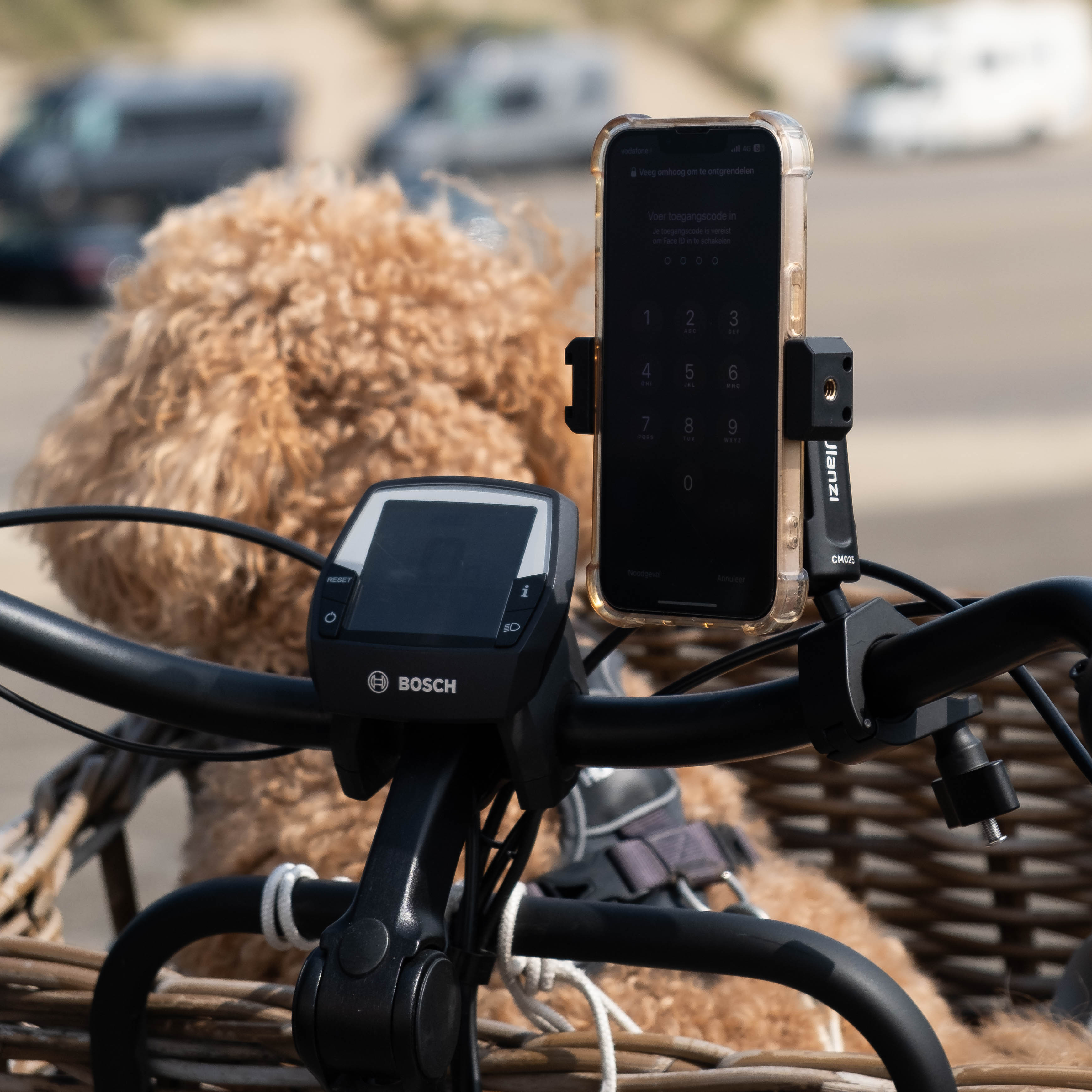A phone mounted on a bike handlebar, with a dog in a basket in the background, sand dunes.
