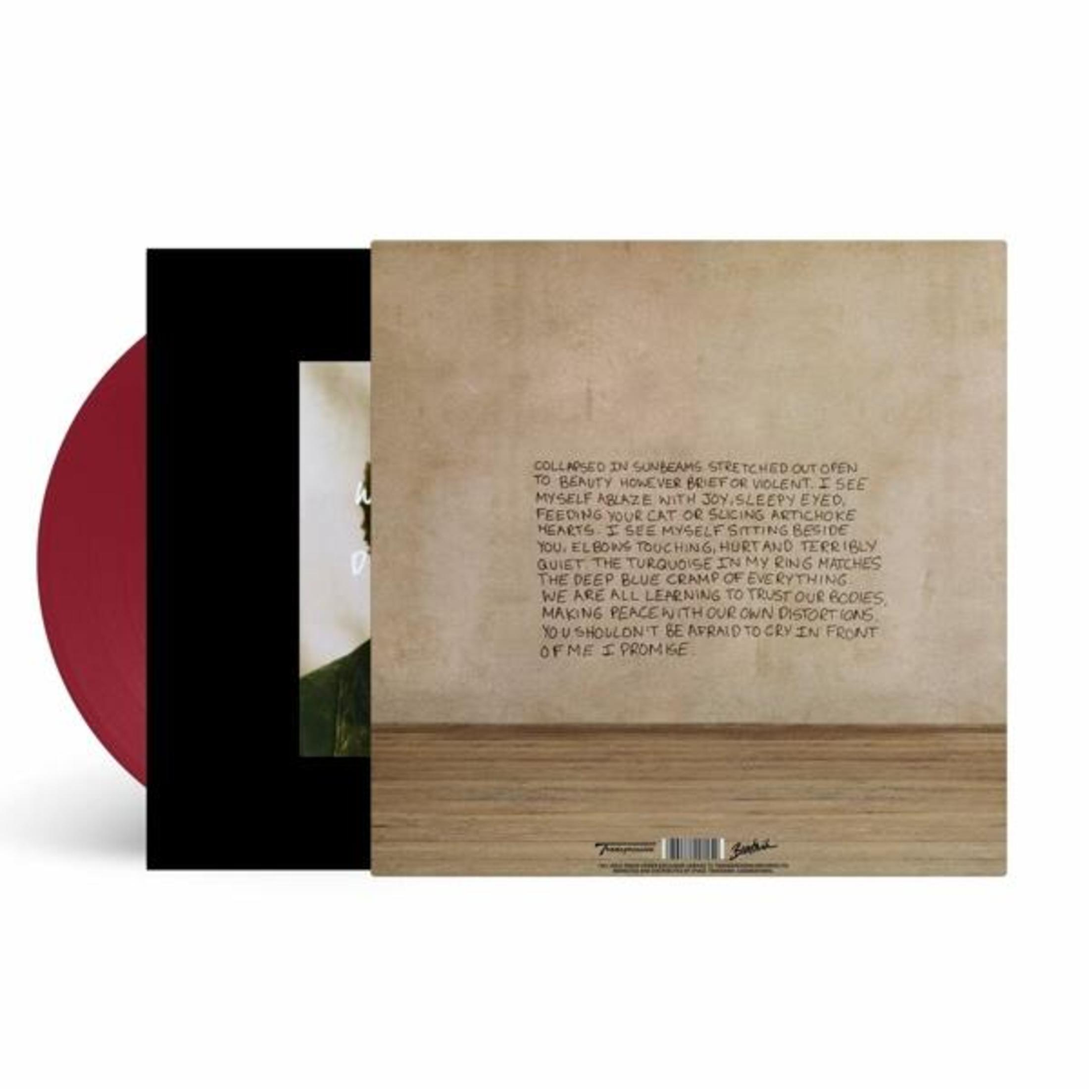 Vinile e copertina dell'album con testo su una superficie di legno.